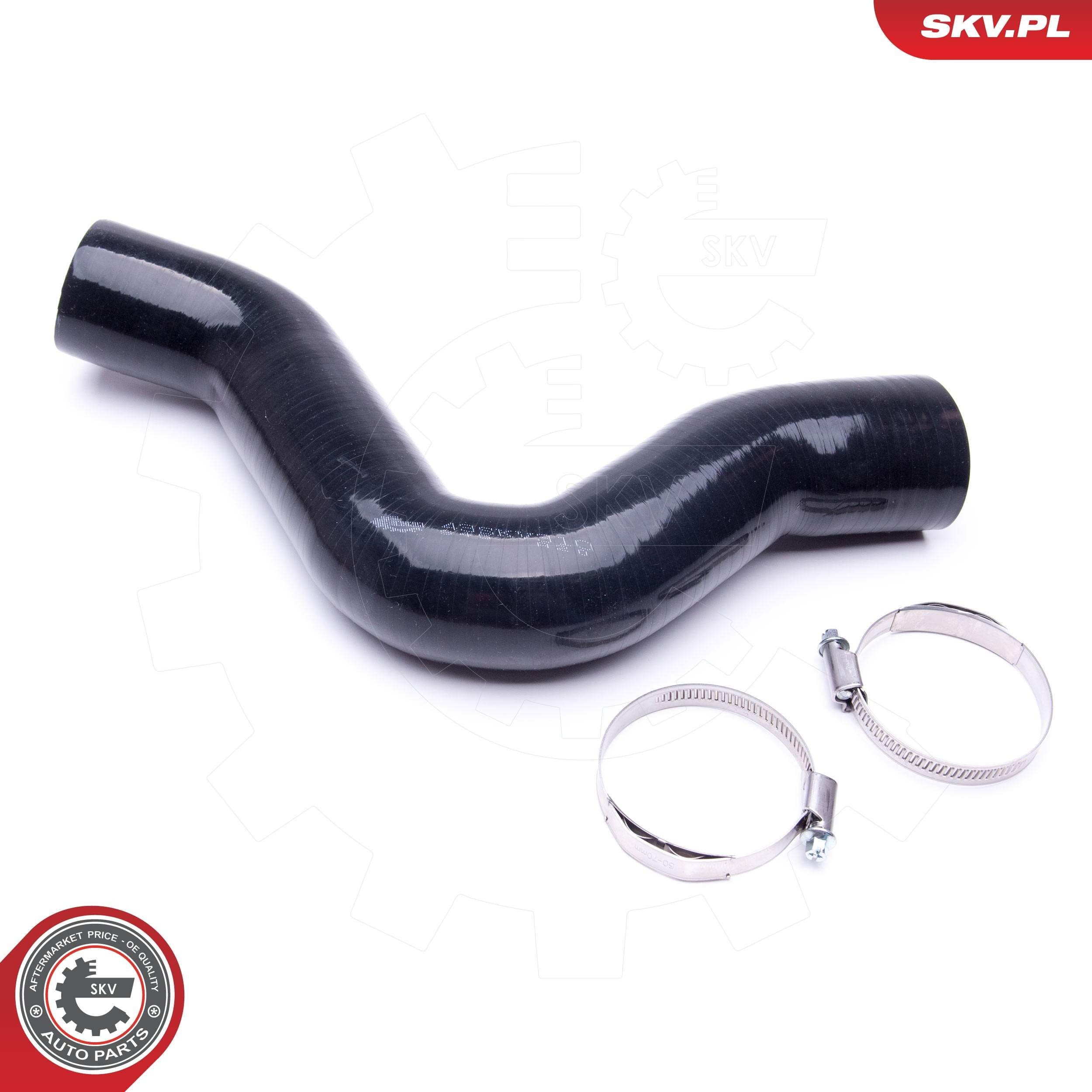  SKV 43SKV310