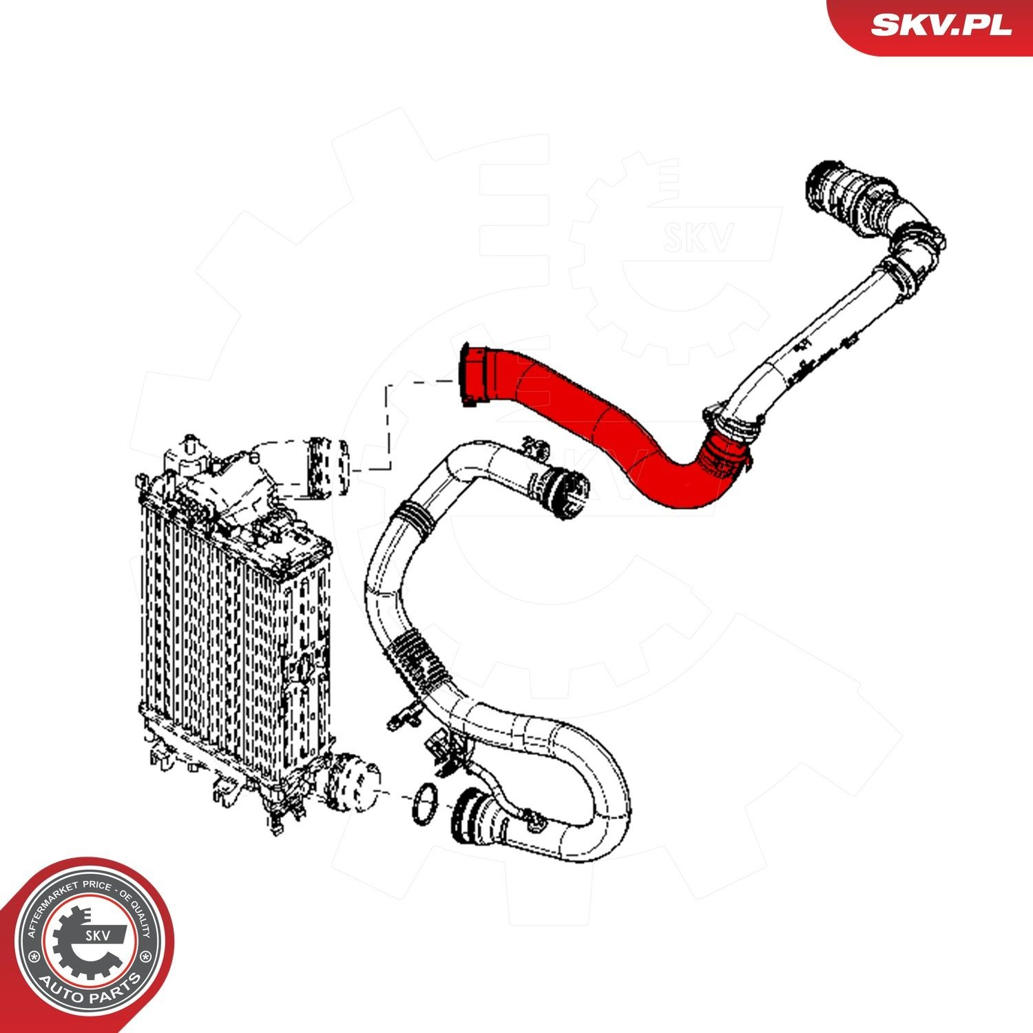 Купити 43SKV347 SKV Шланг/патрубок интеркуллера