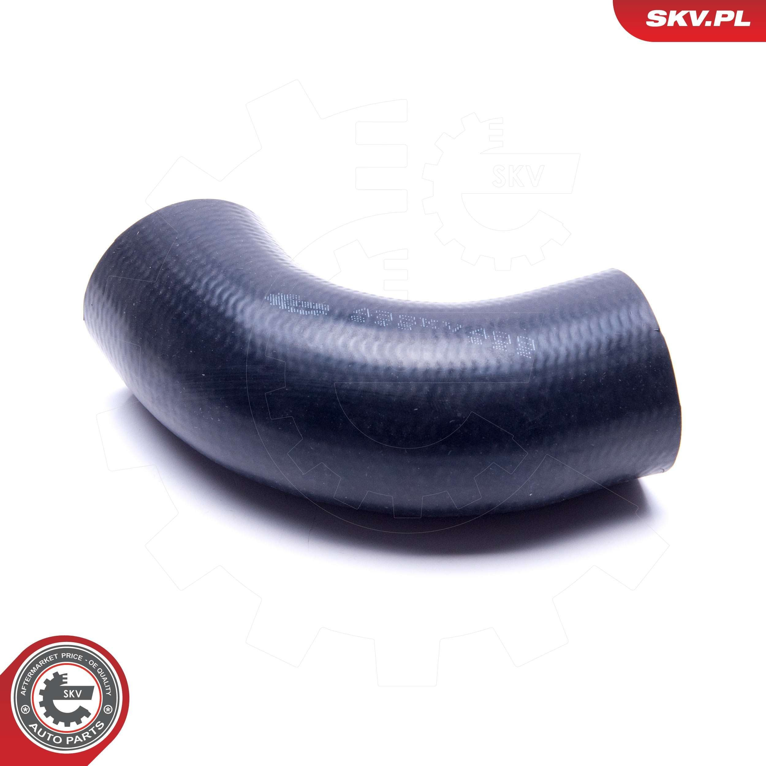  SKV 43SKV489