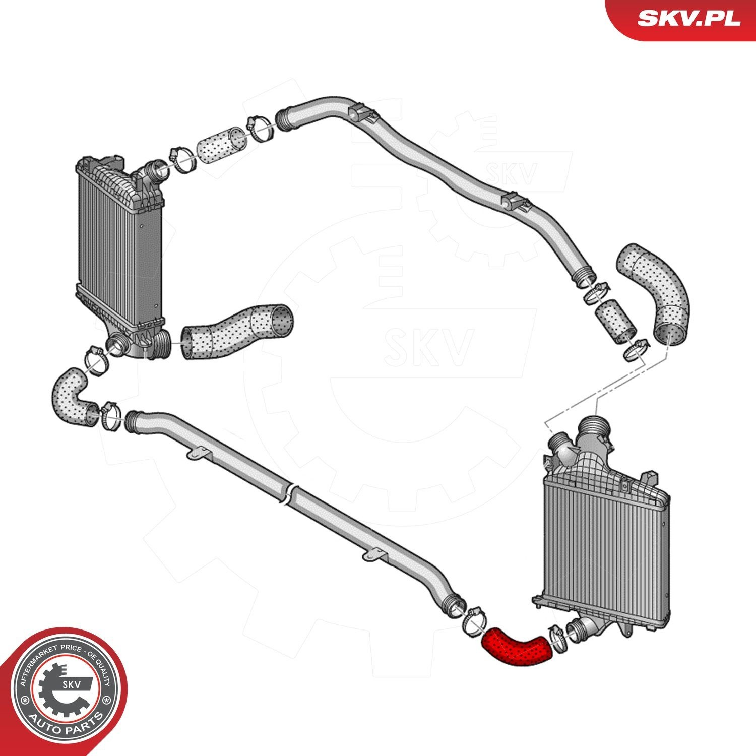  43SKV489 SKV