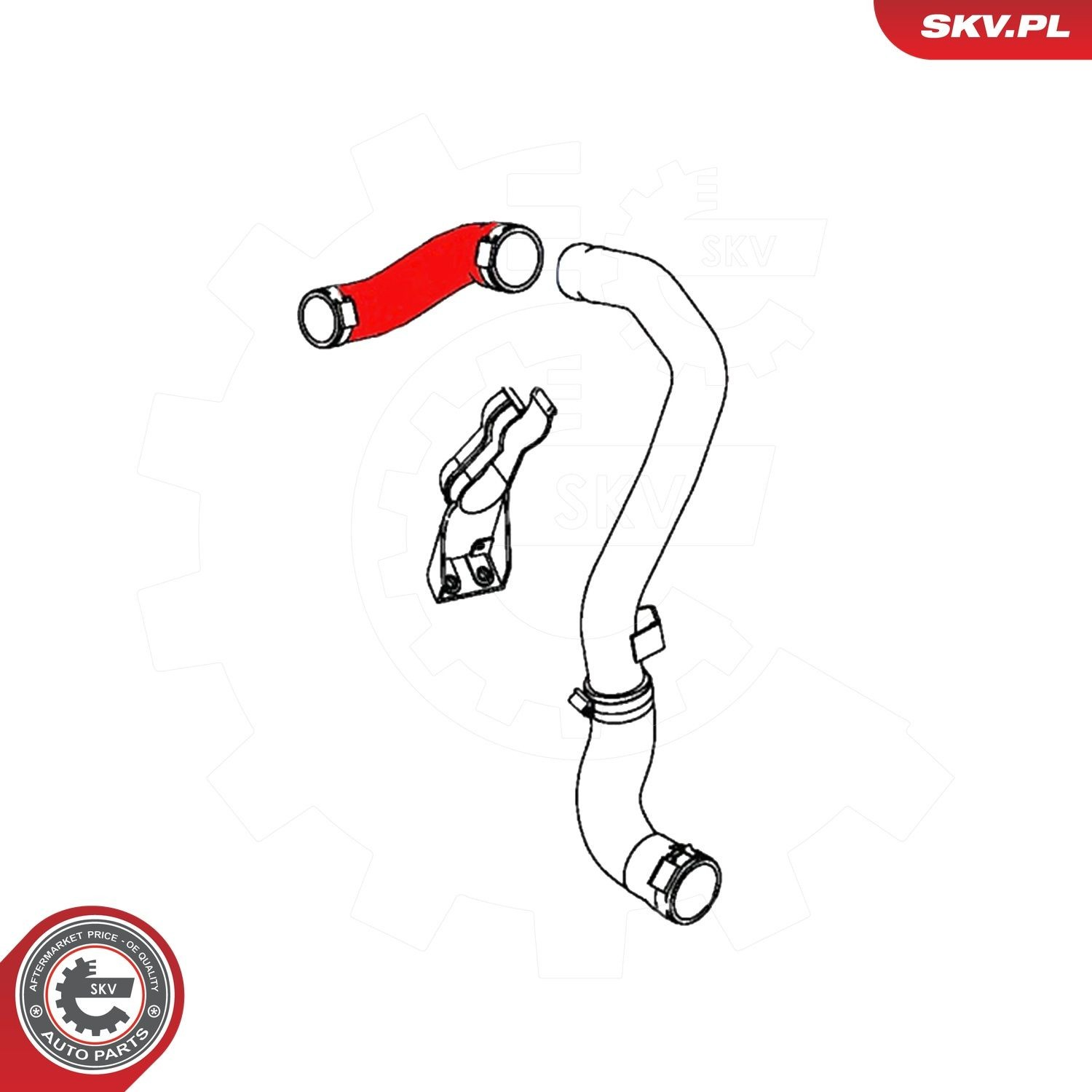  SKV 43SKV495