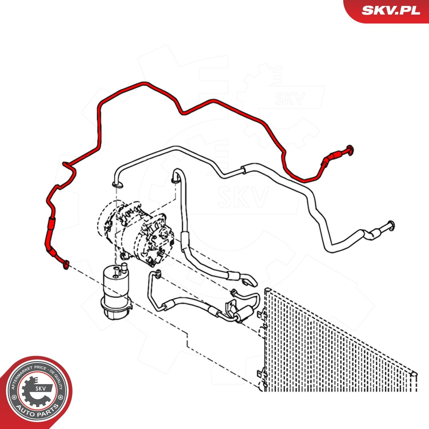 43SKV520 SKV 