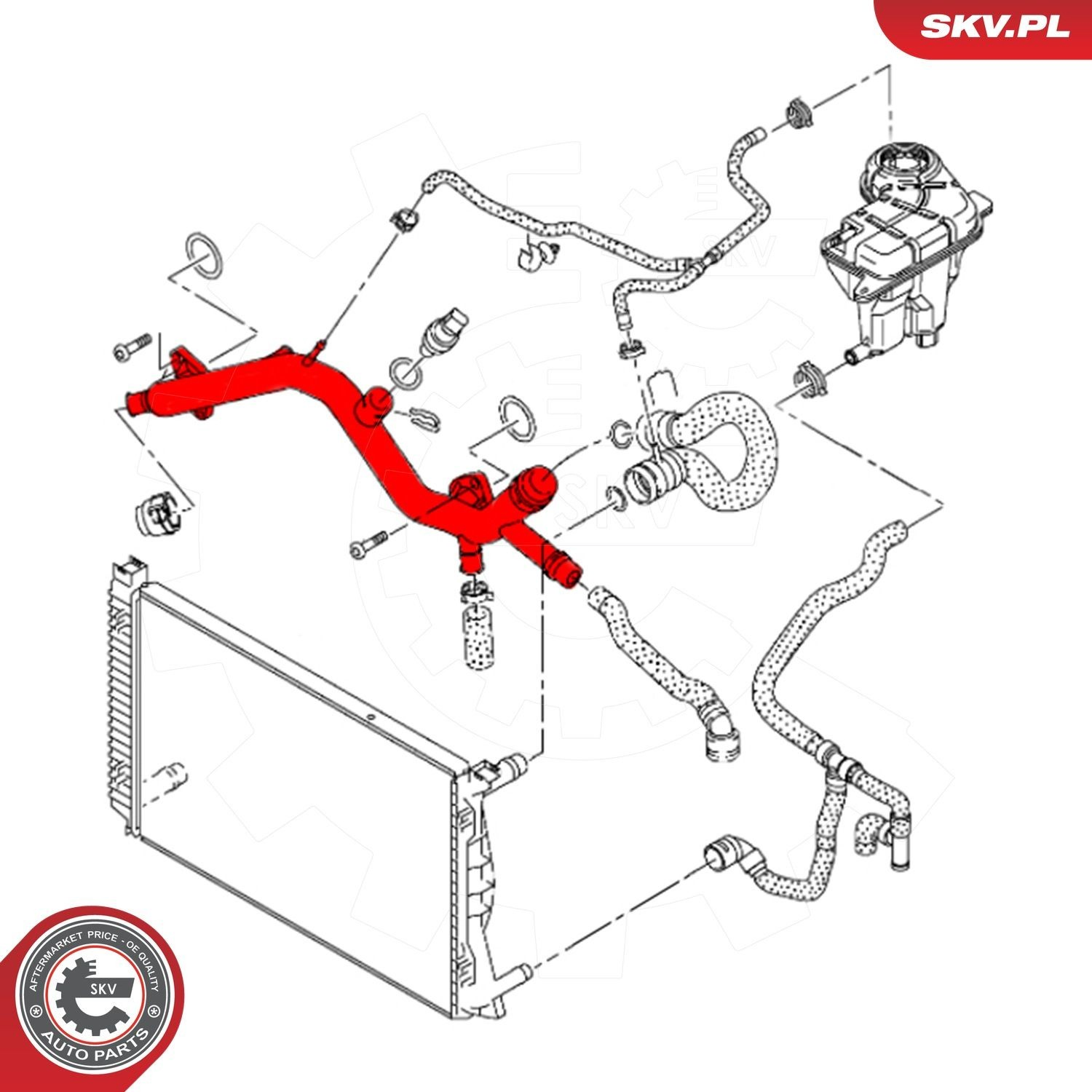 Купити 43SKV601 SKV Трубопроводи і шланги системи охолодження