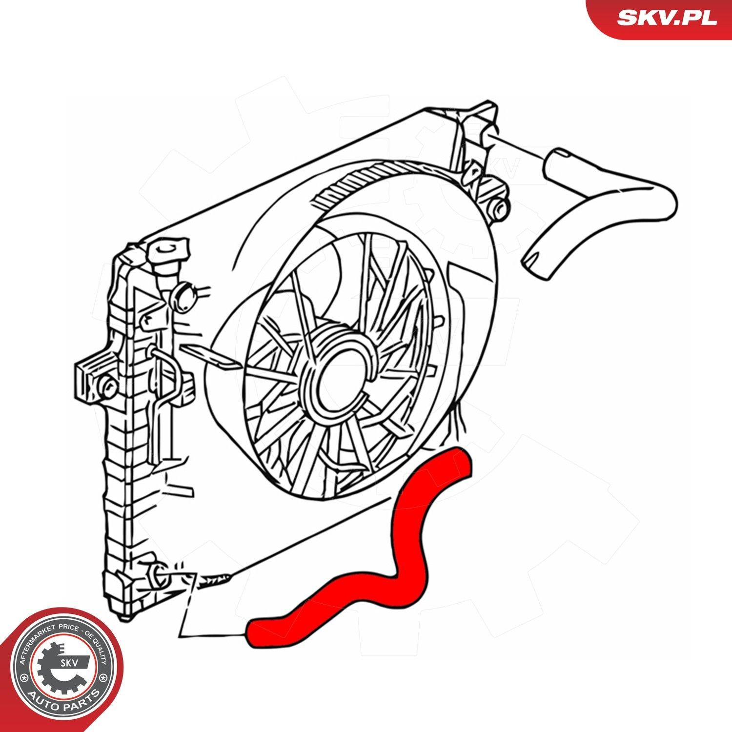 Купити 43SKV612 SKV Шланг/патрубок радіатора охолодження, нижній