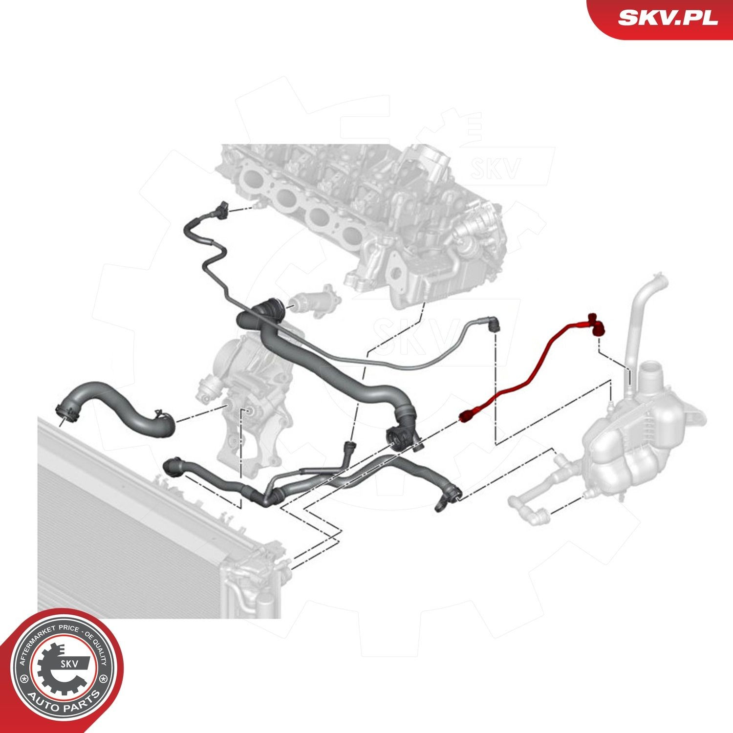 Купити 43SKV627 SKV Шланг розширювального бачка, верхній