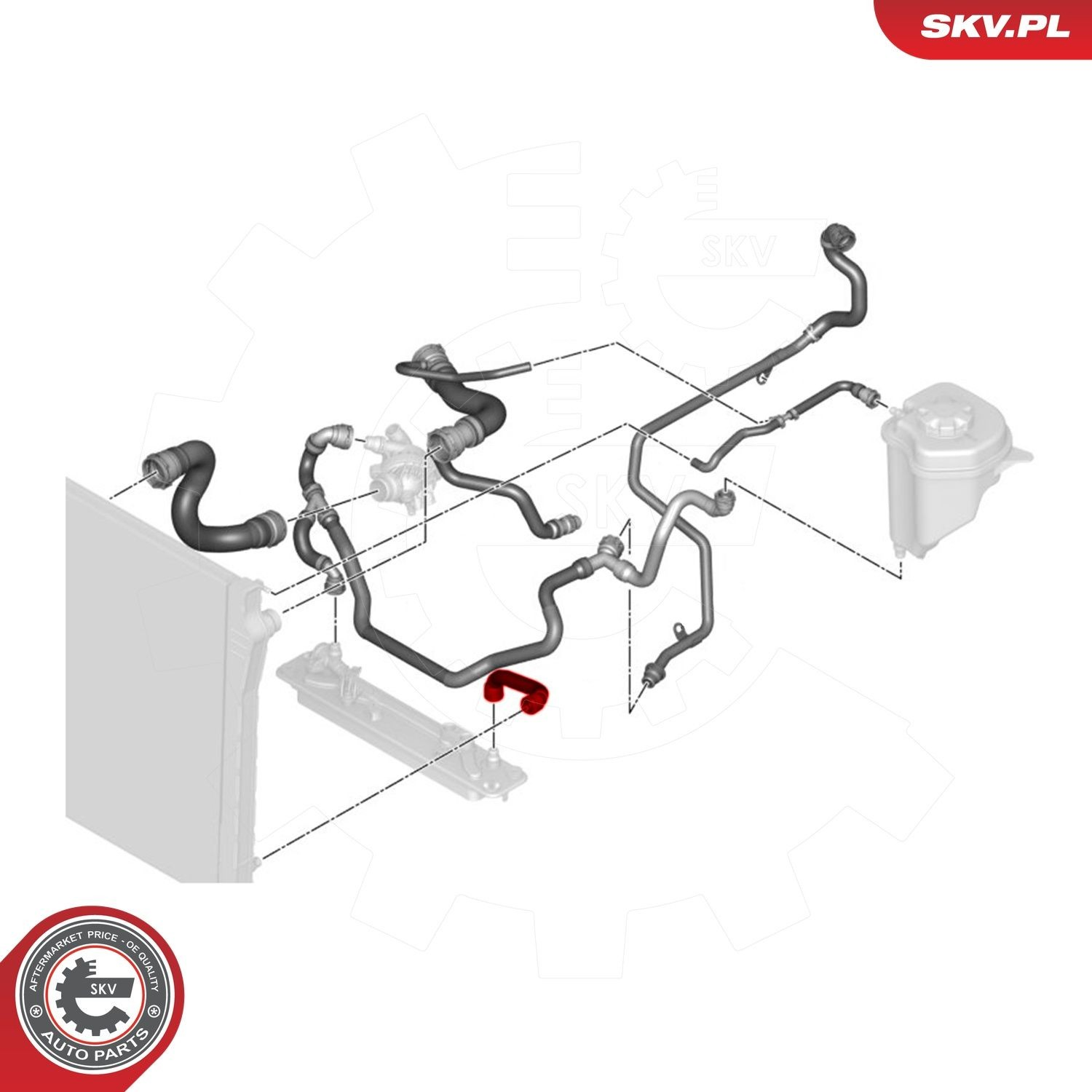 Купити 43SKV640 SKV Шланг/патрубок радіатора охолодження, нижній