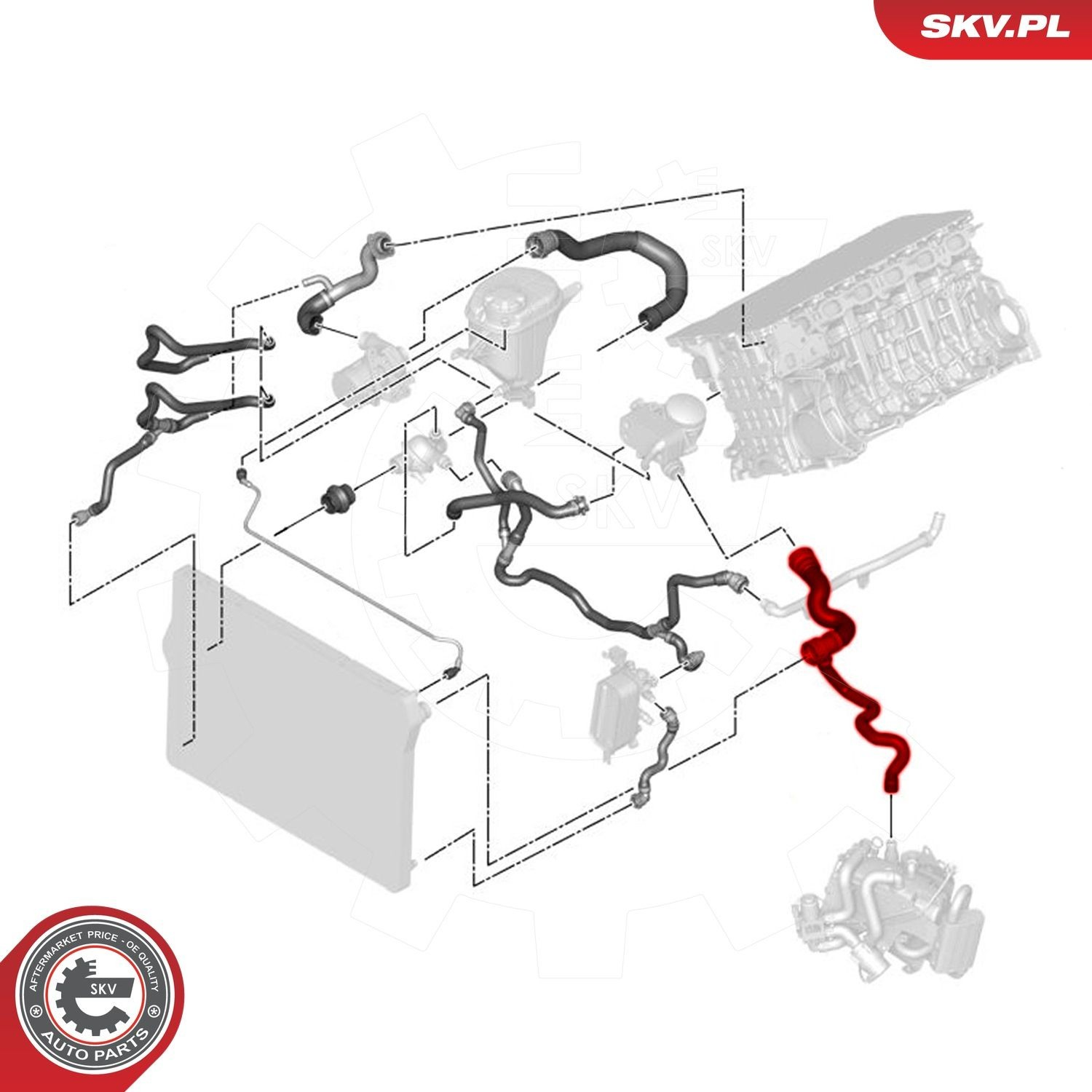 Купити 43SKV644 SKV Шланг/патрубок радіатора охолодження, верхній