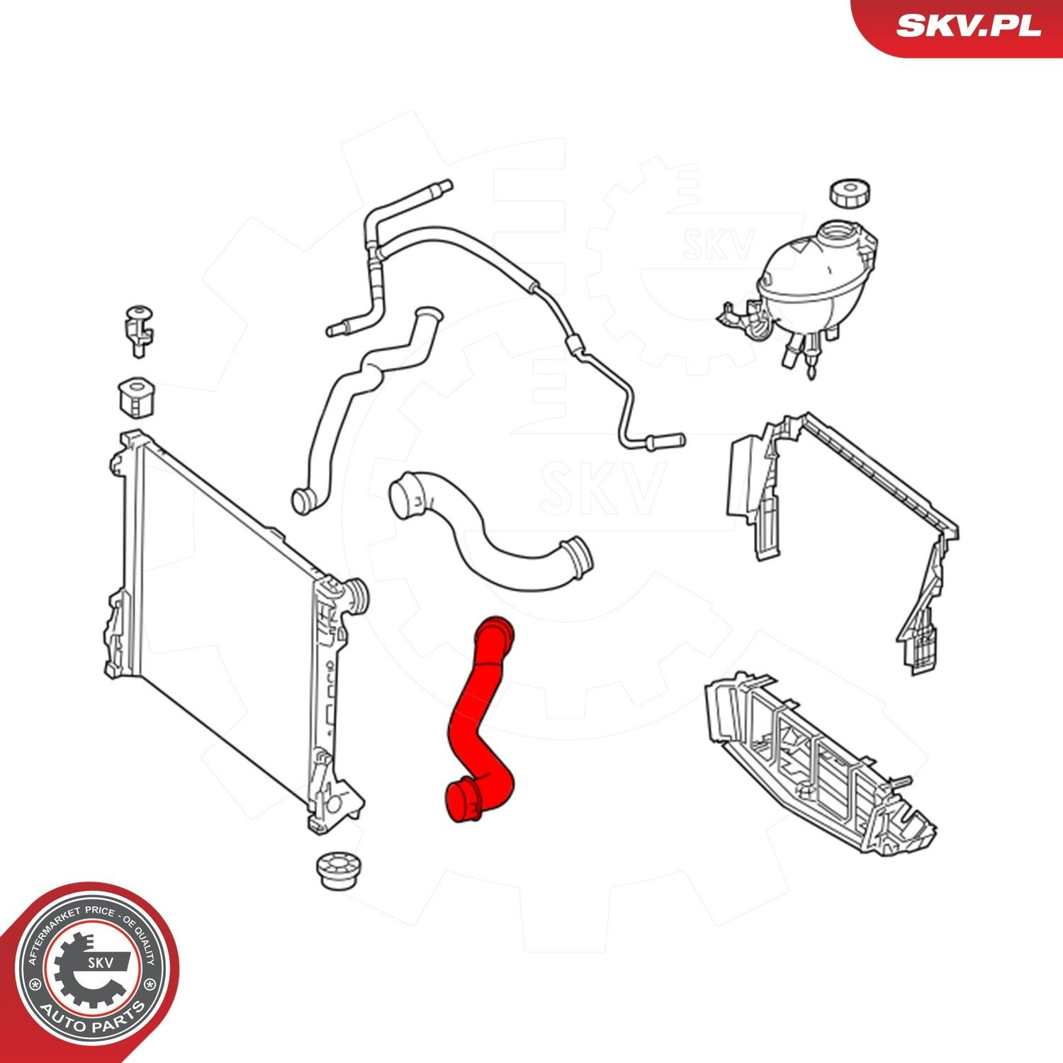 Купити 43SKV750 SKV Шланг/патрубок радіатора охолодження, верхній