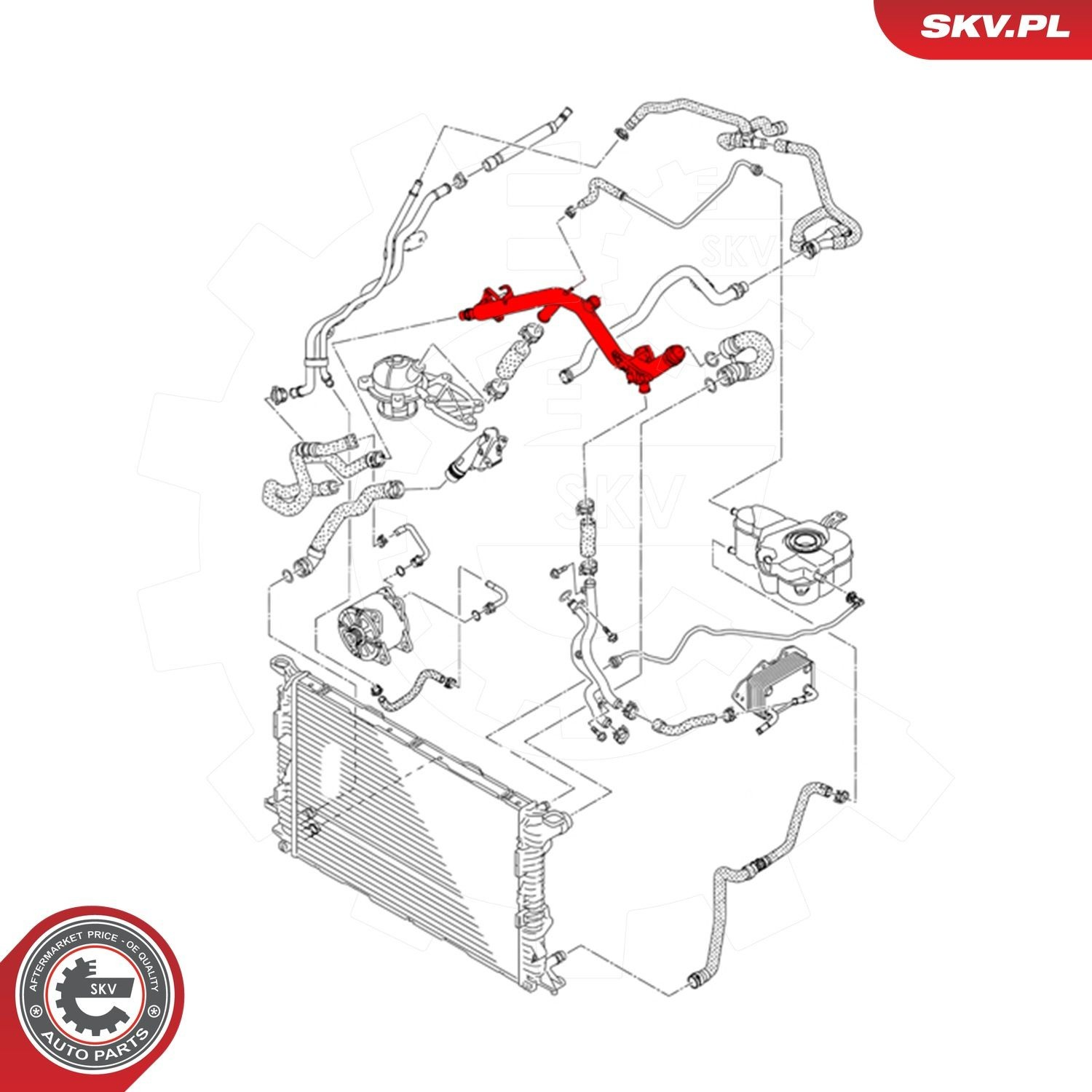Купити 43SKV799 SKV Трубопроводи і шланги системи охолодження