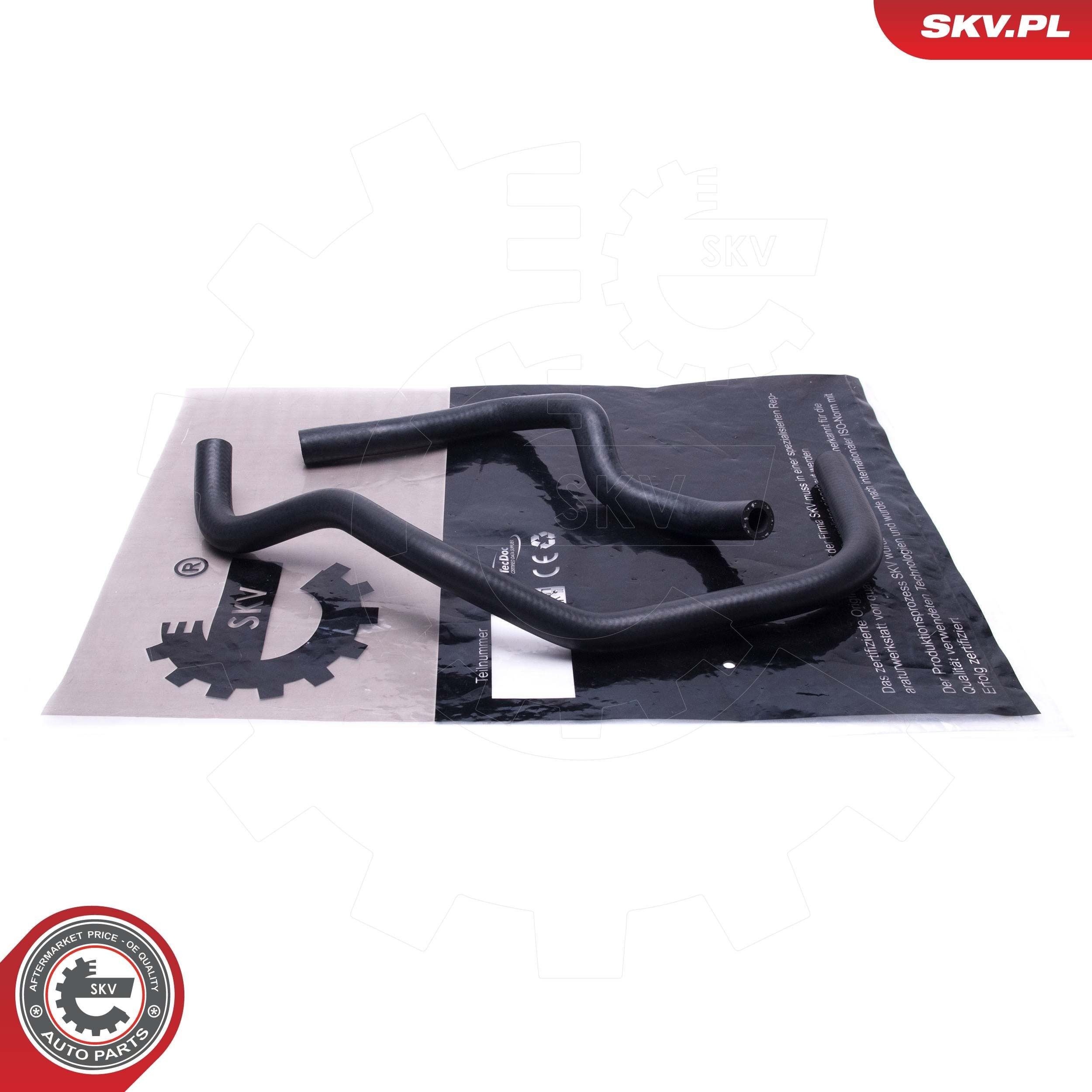  43SKV876 SKV
