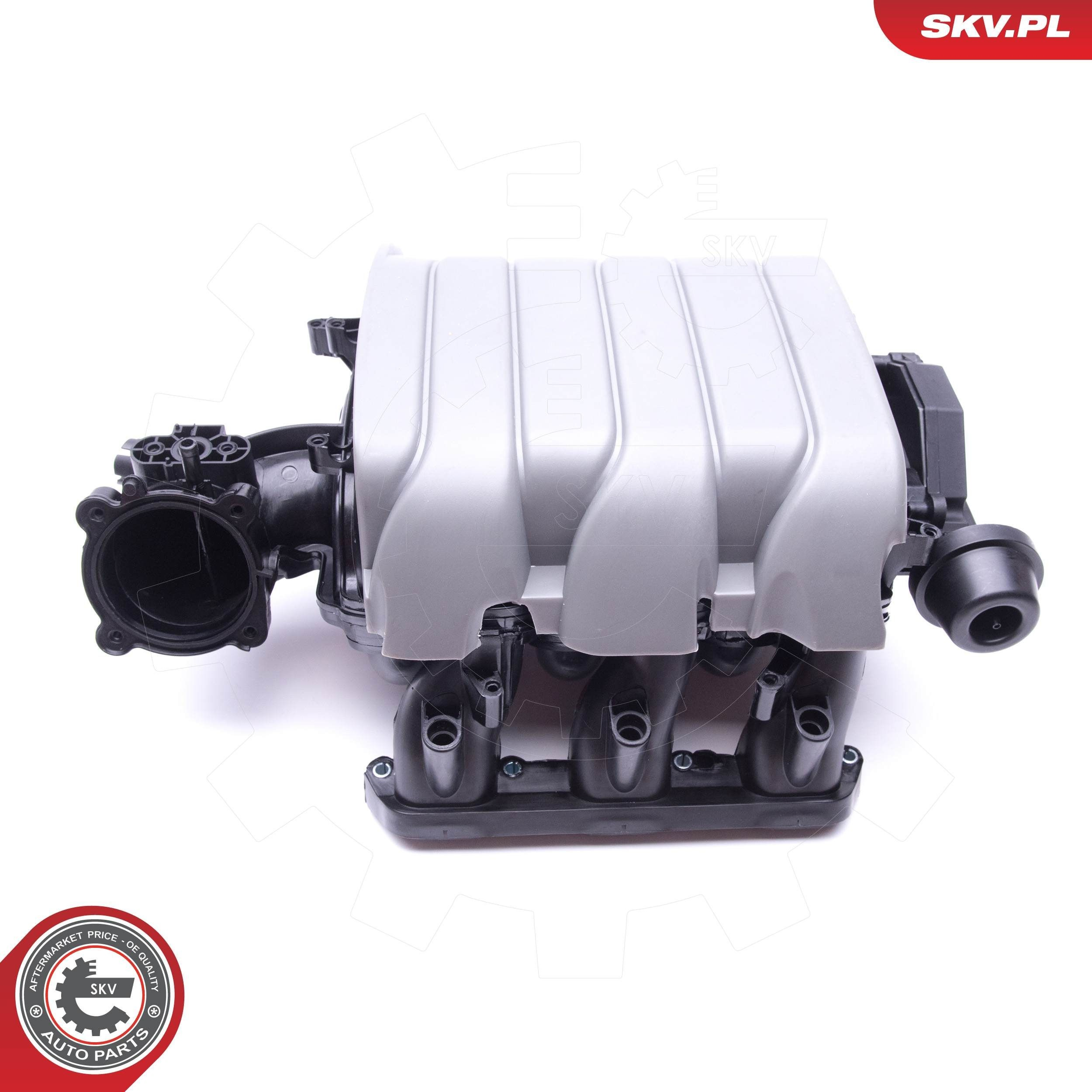 49SKV002 SKV Колектор впускний