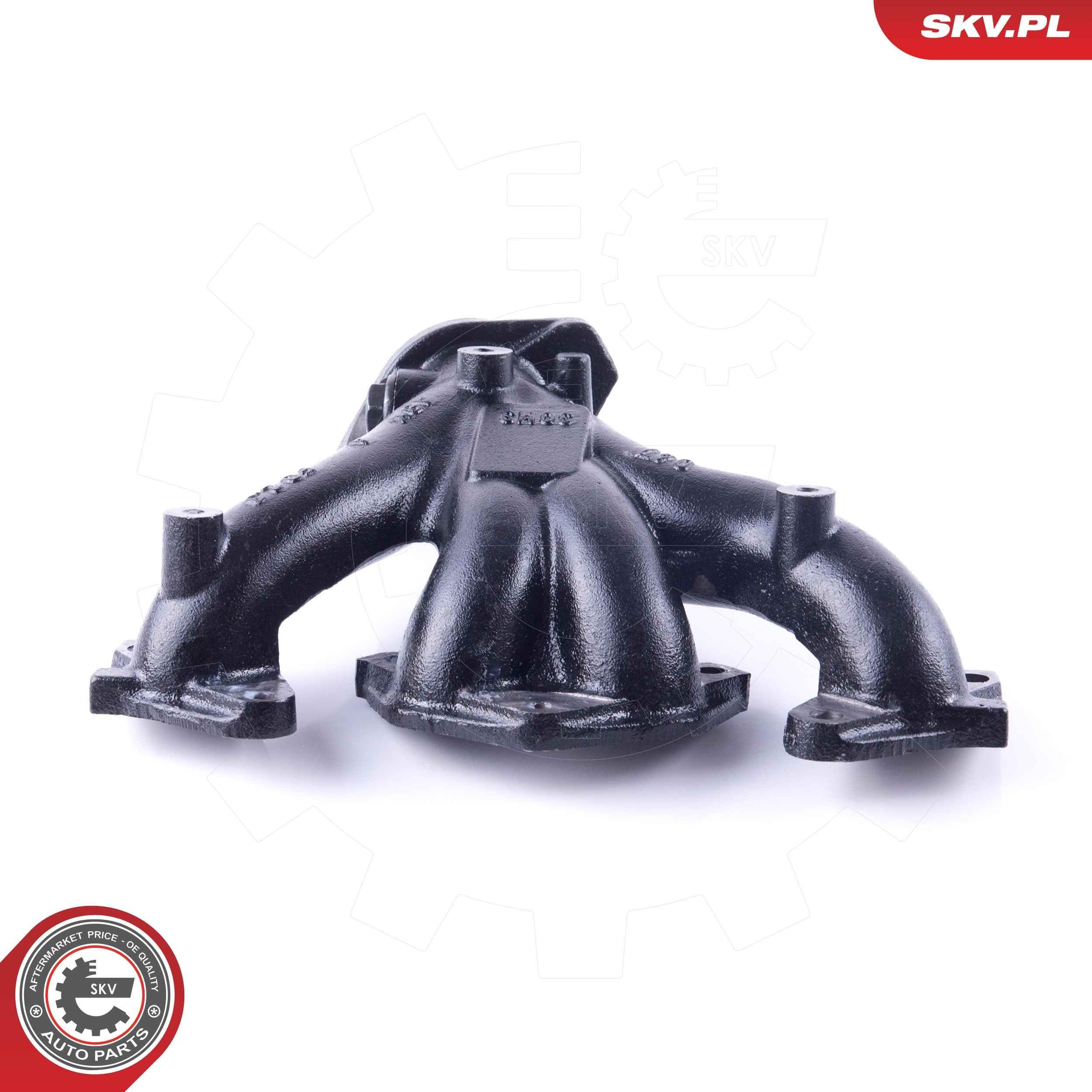 Купити 49SKV050 SKV Випускний колектор