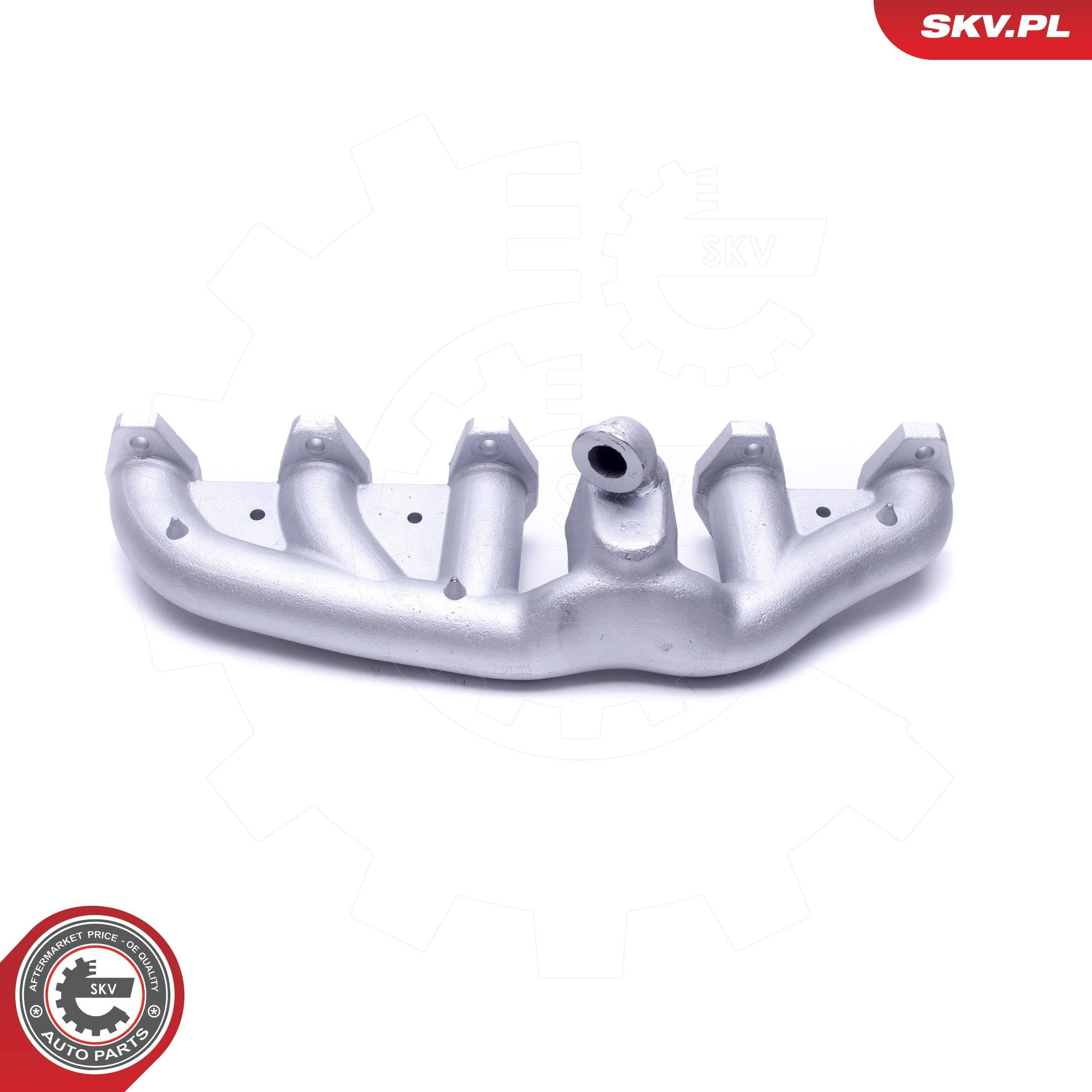 49SKV063 SKV Система випуску газів двигуна