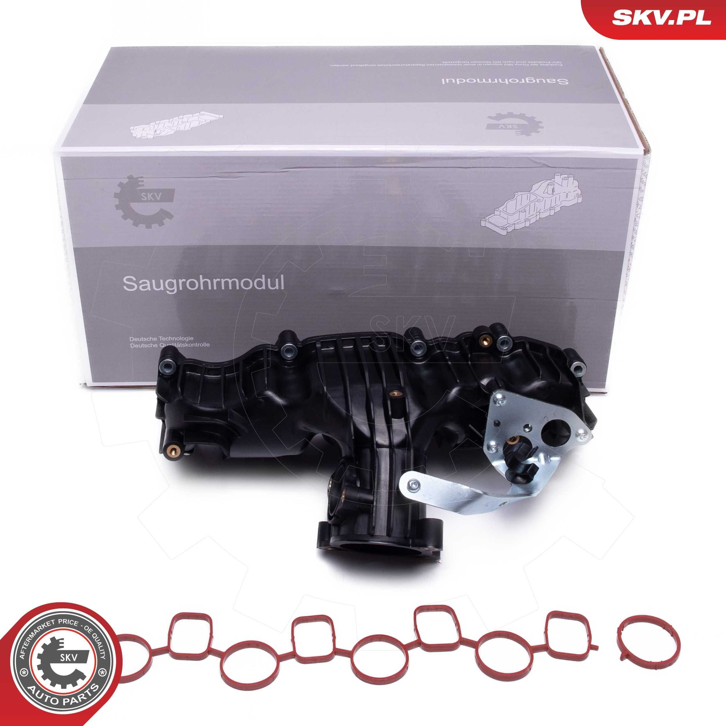 Впускний колектор 49SKV077 SKV