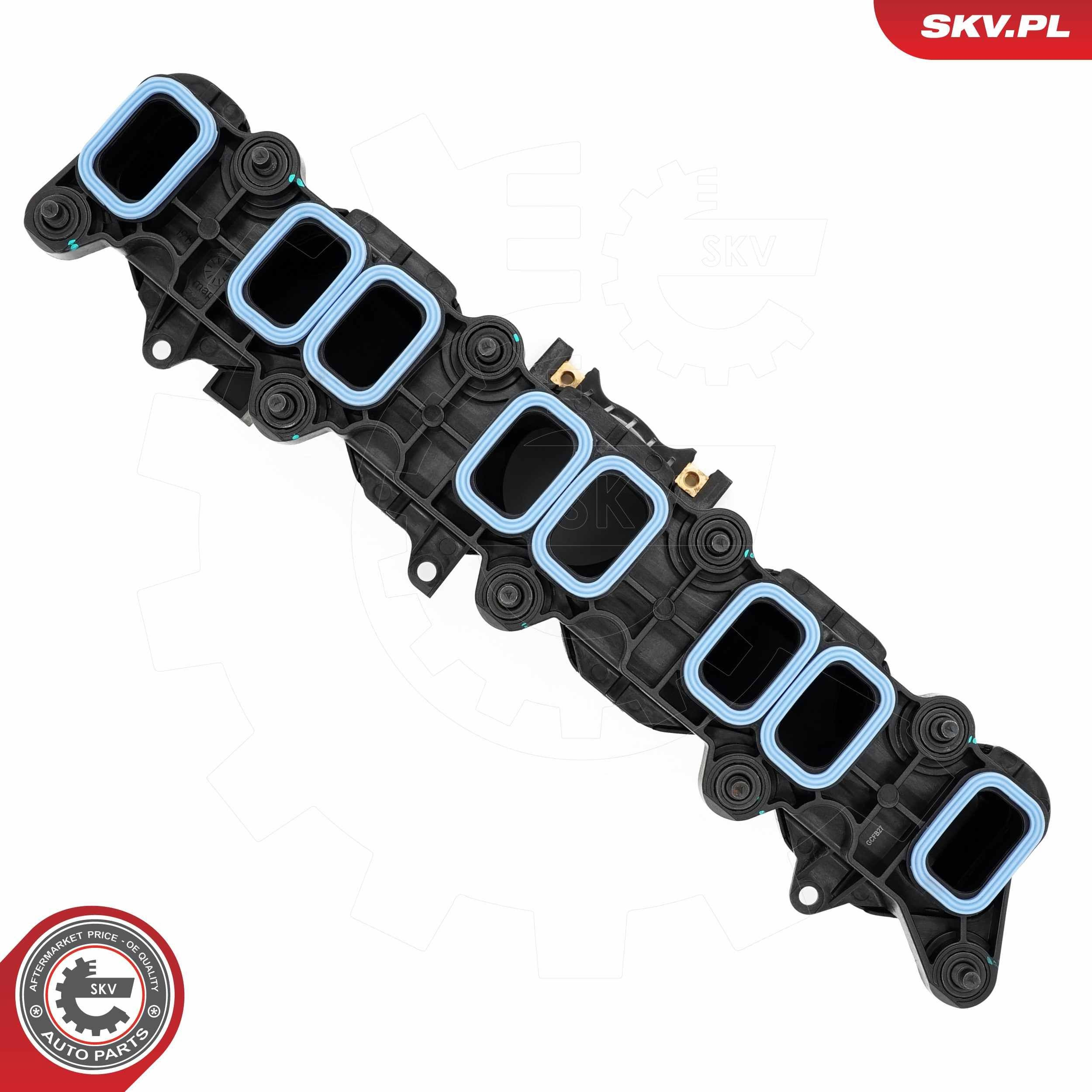 Впускний колектор 49SKV089 SKV