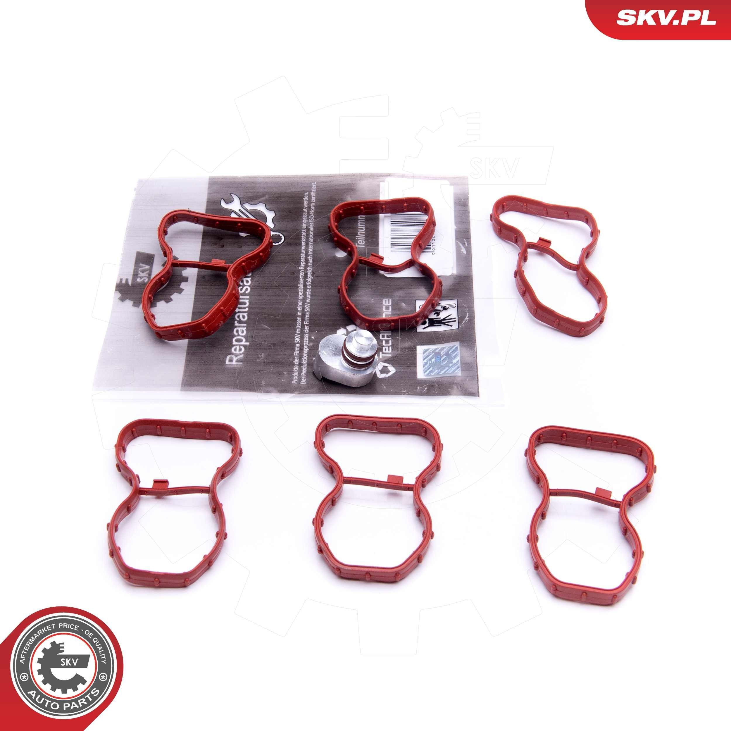 49SKV520 SKV Колектор впускний