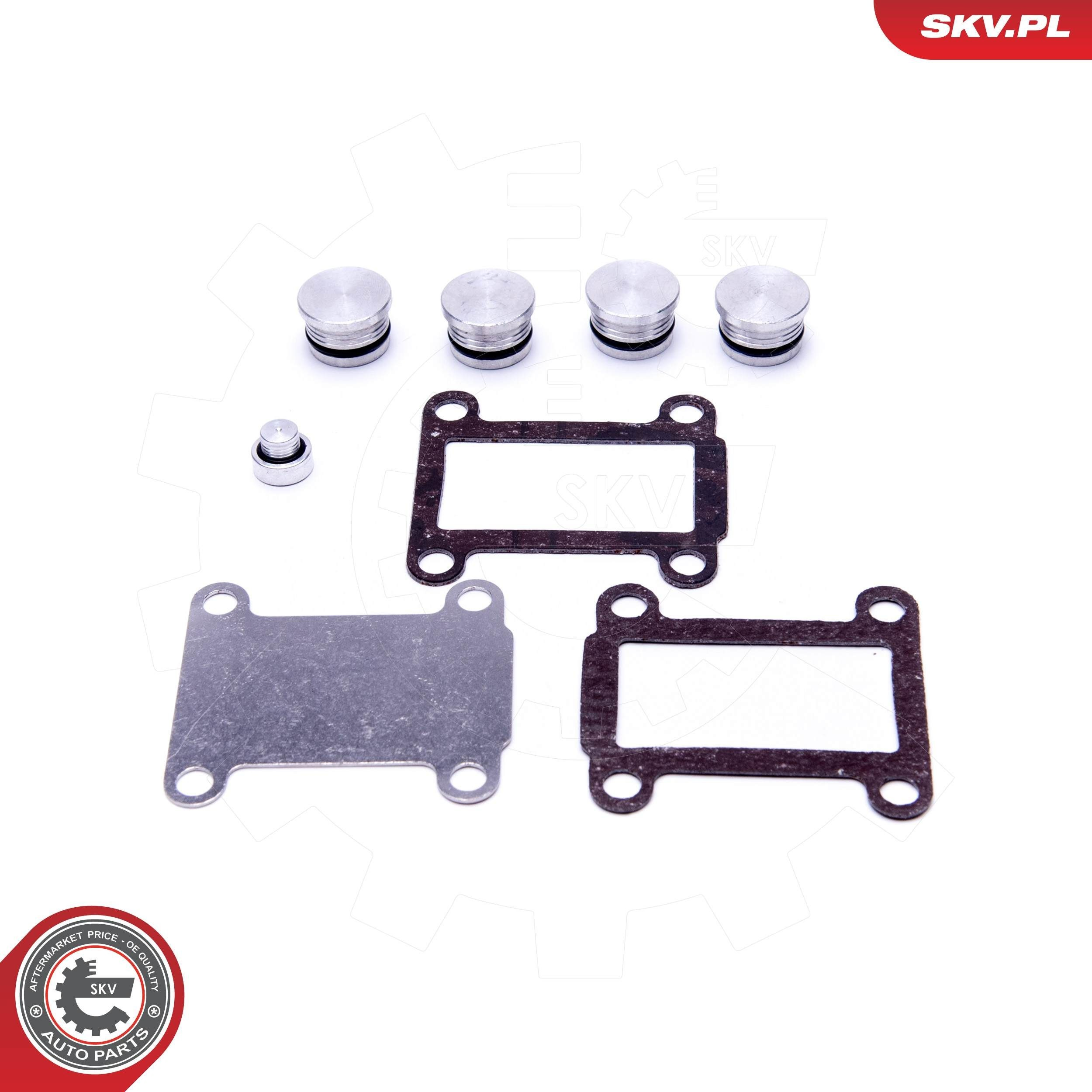  SKV 49SKV527 ціна, від 27.11 USD