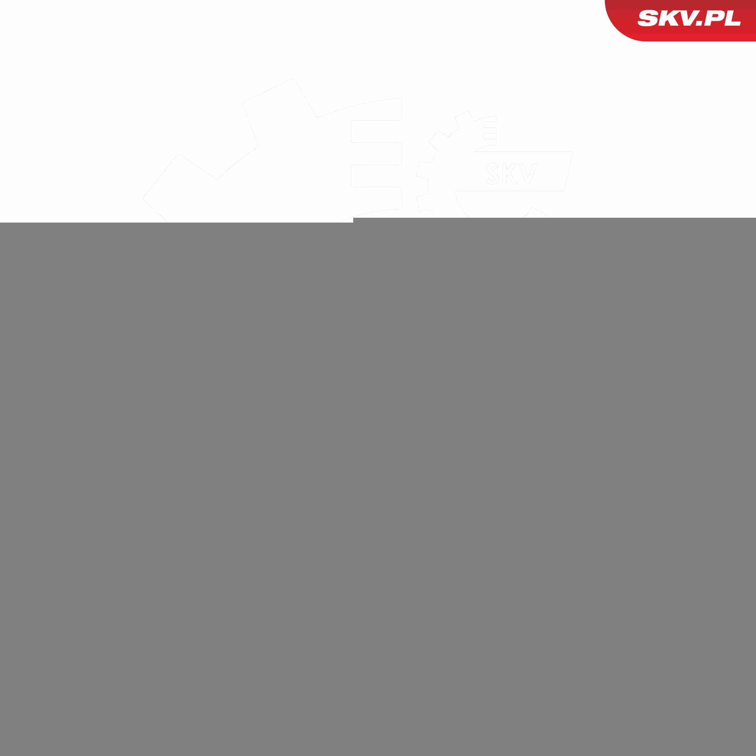 Амортизатор двері задньої SKV 52SKV822 ціна, від 16.88 USD
