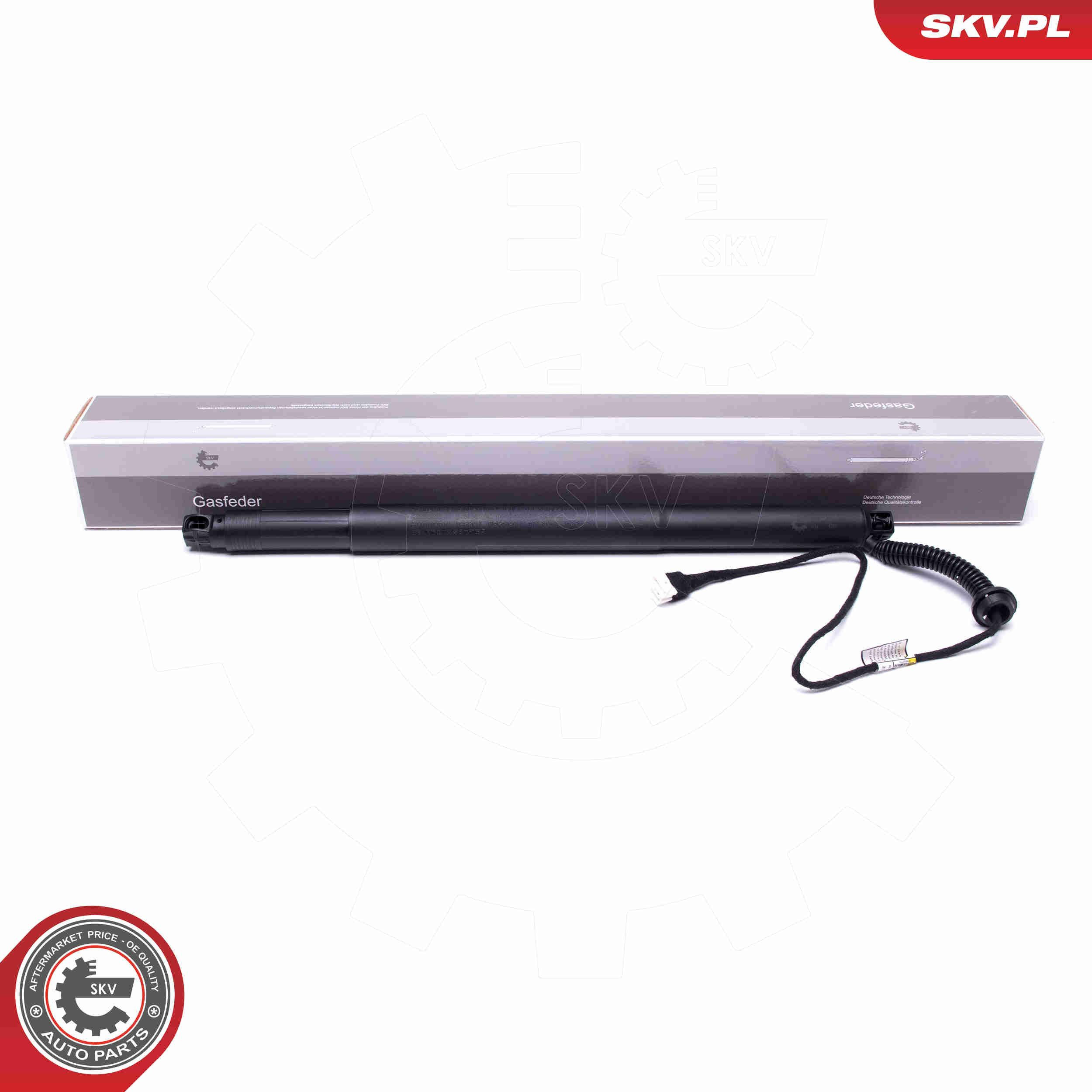 Амортизатор двері задньої Depo/Loro/Abakus 10102010 ціна, від 106.95 USD