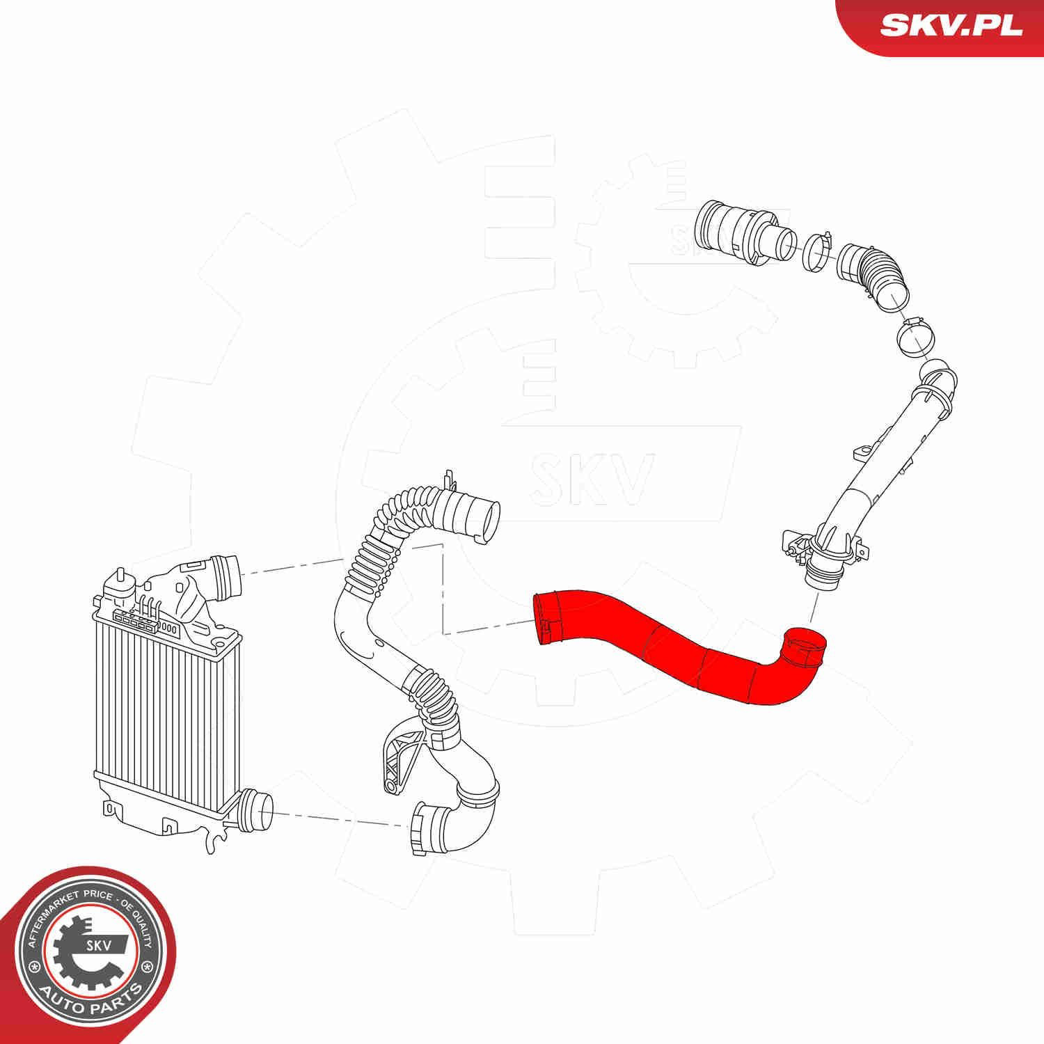 Купити 54SKV009 SKV Шланг/патрубок интеркуллера