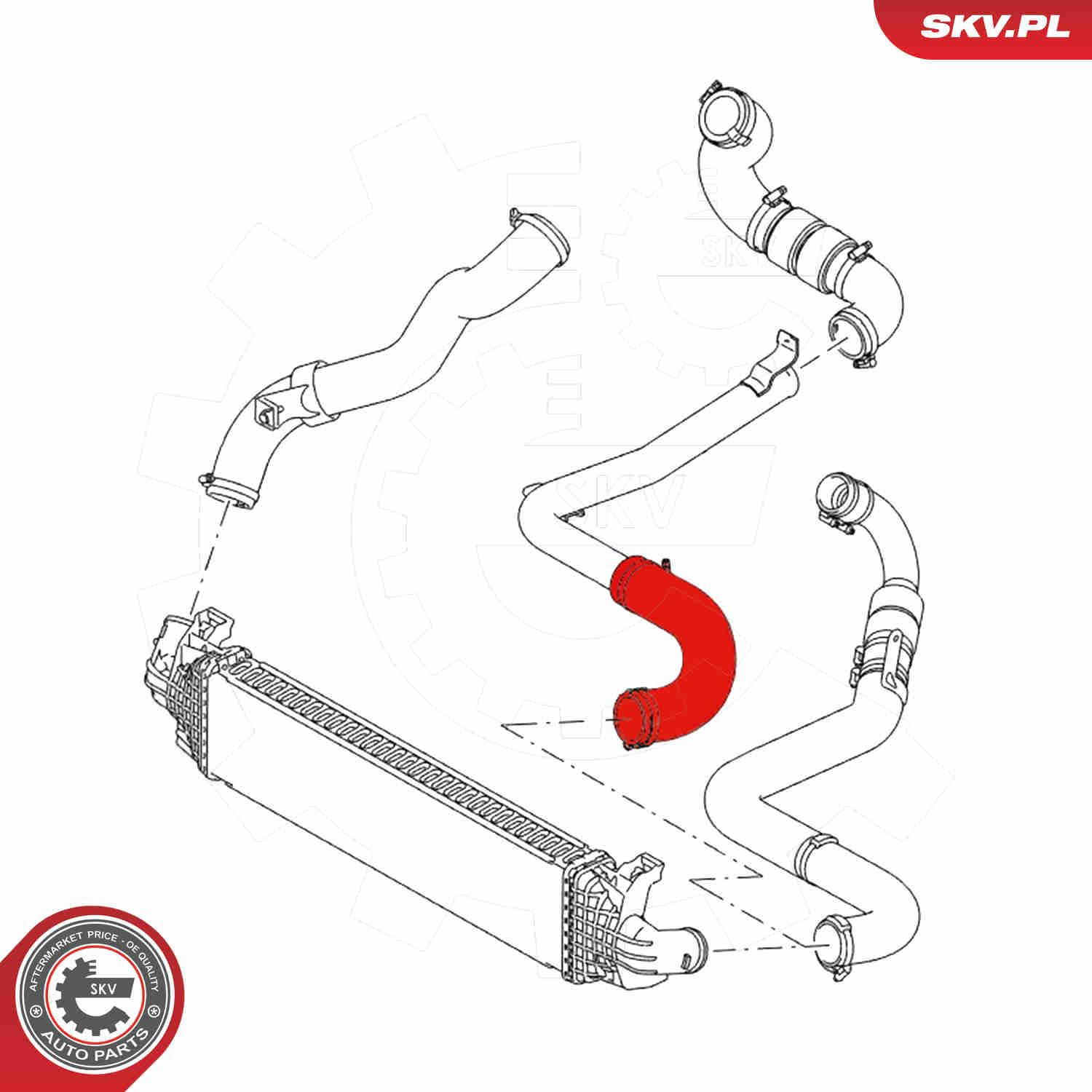 Трубка, що нагнітається SKV 54SKV017 ціна, від 27.95 USD