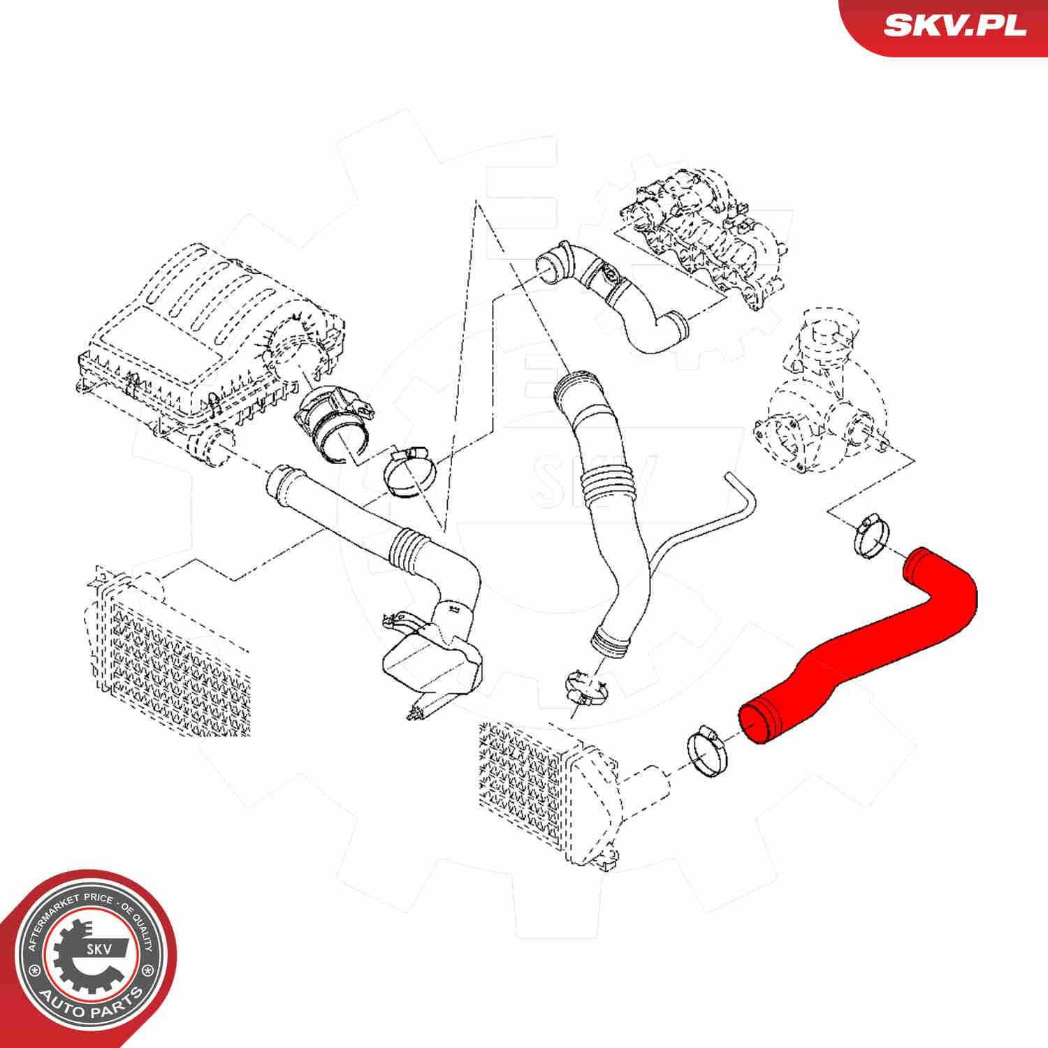  SKV 54SKV021 ціна, від 33.25 USD