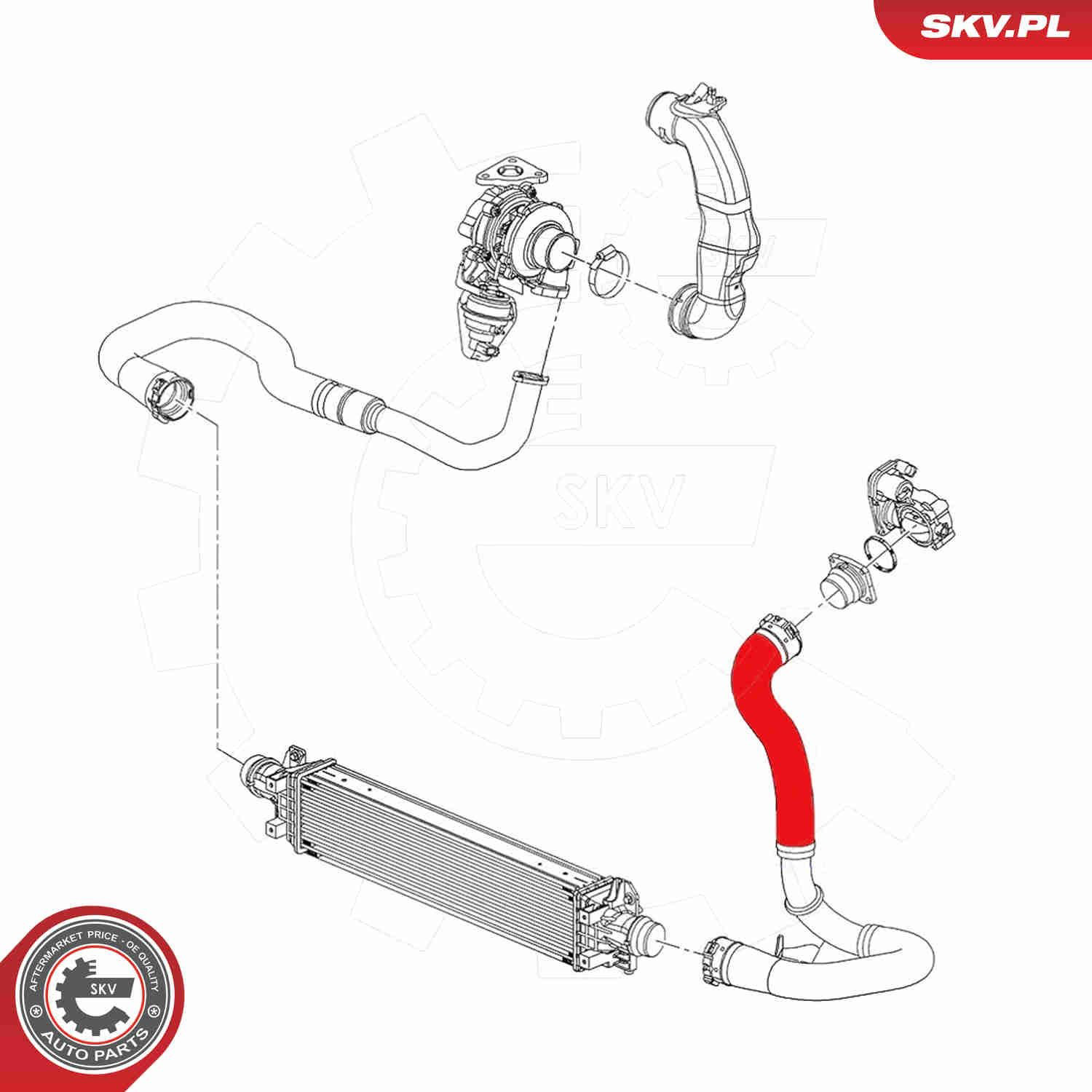 Шланг/патрубок интеркуллера SKV 54SKV064 ціна, від 21.23 USD