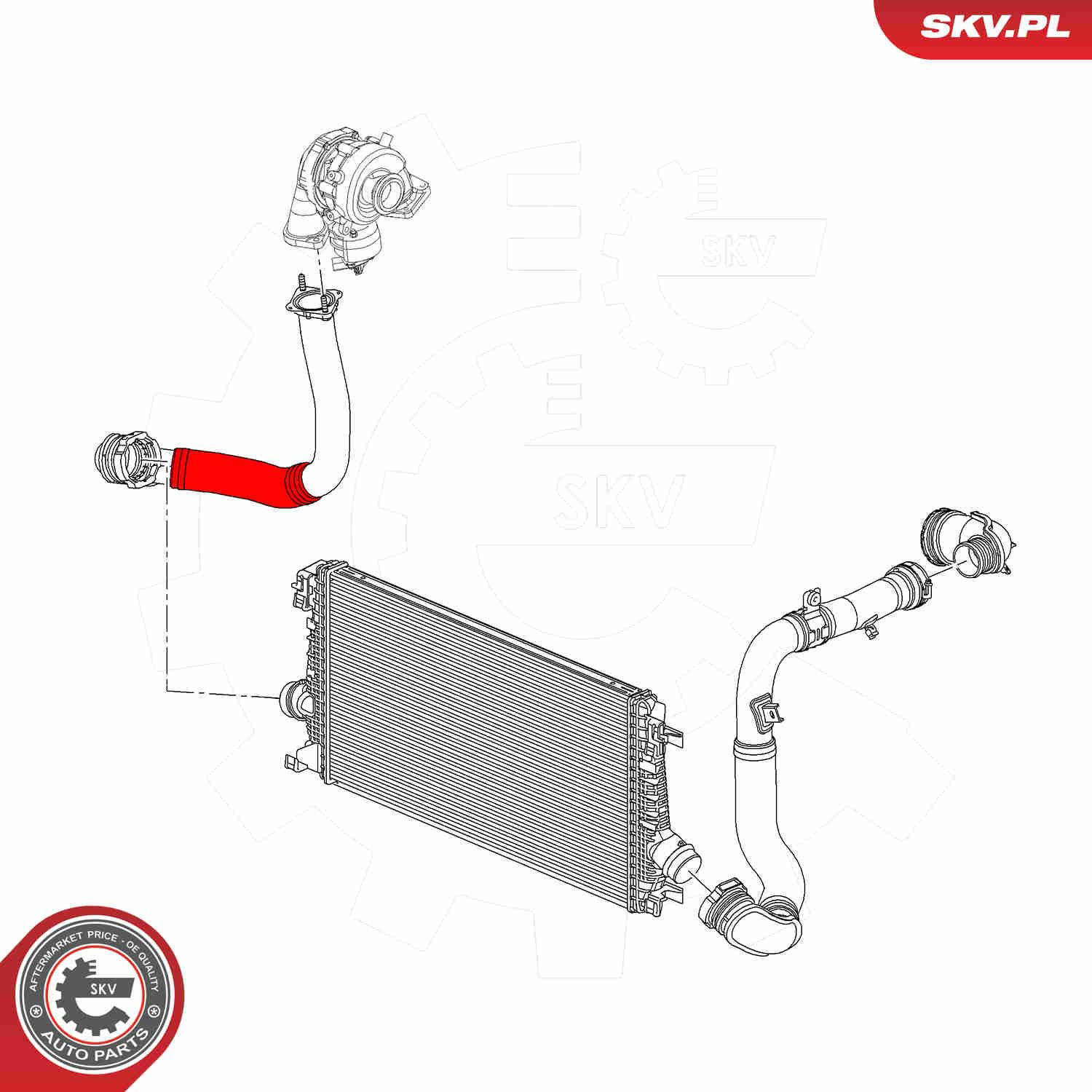  SKV 54SKV069 ціна, від 31.66 USD