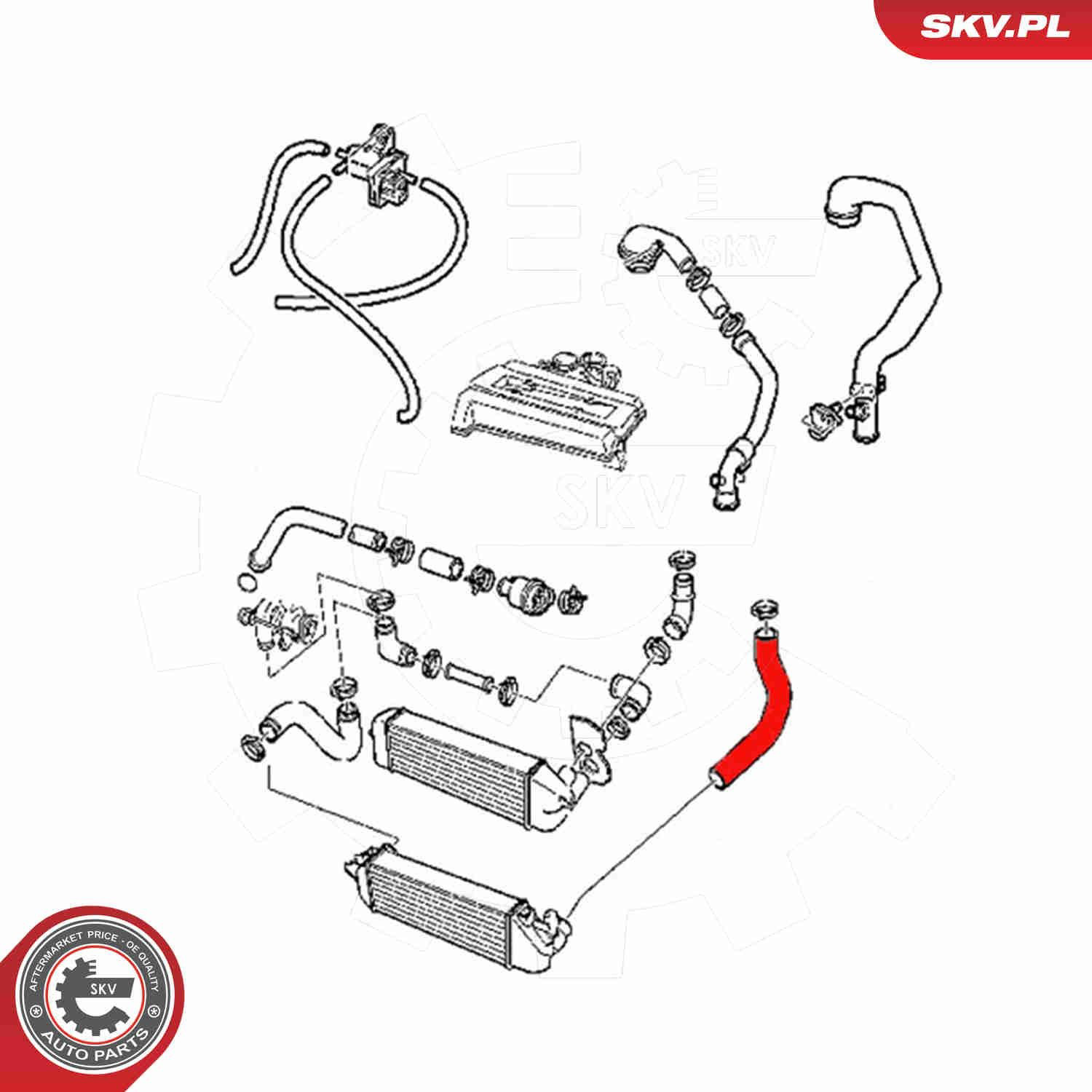  SKV 54SKV077 ціна, від 36.94 USD