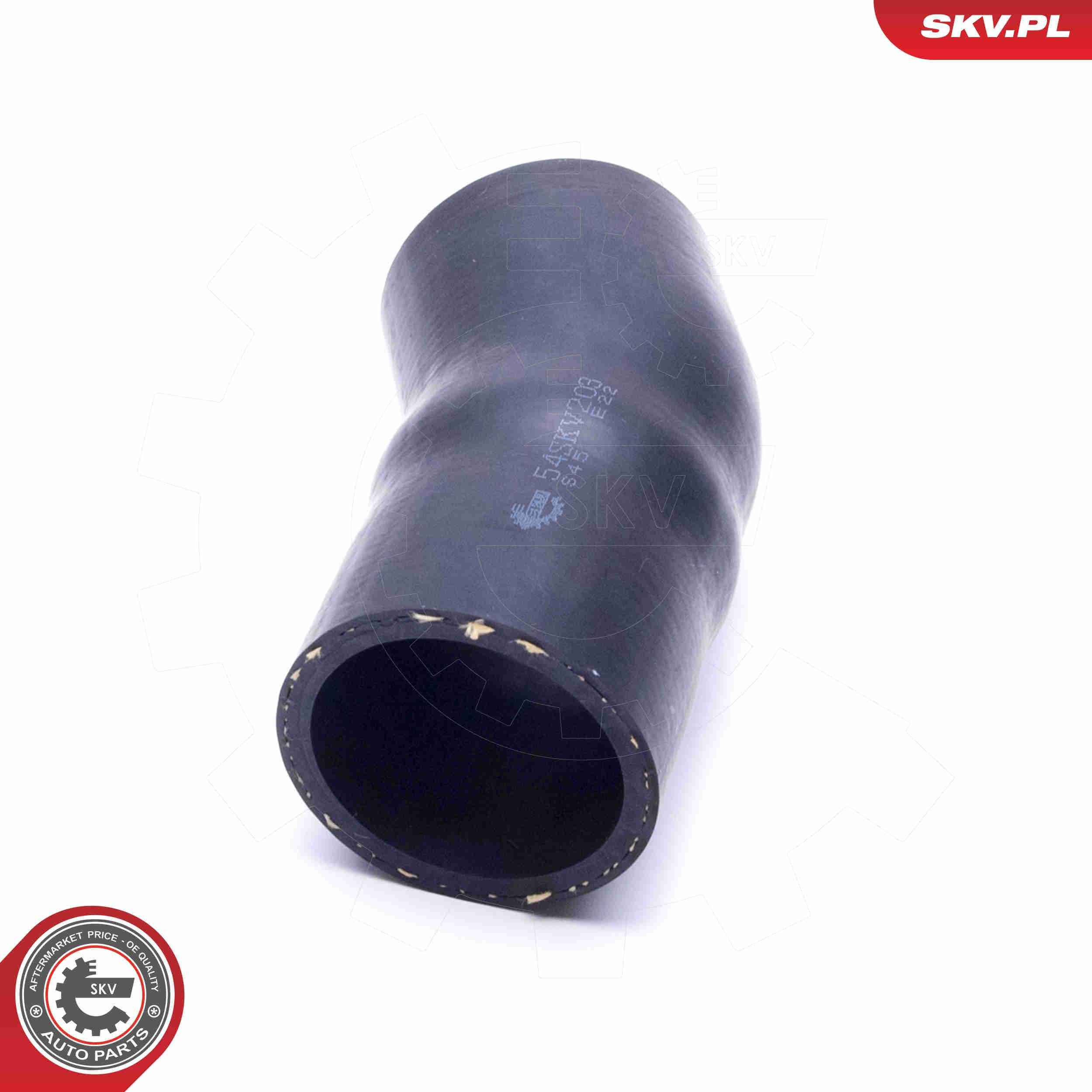 Купити 54SKV203 SKV 