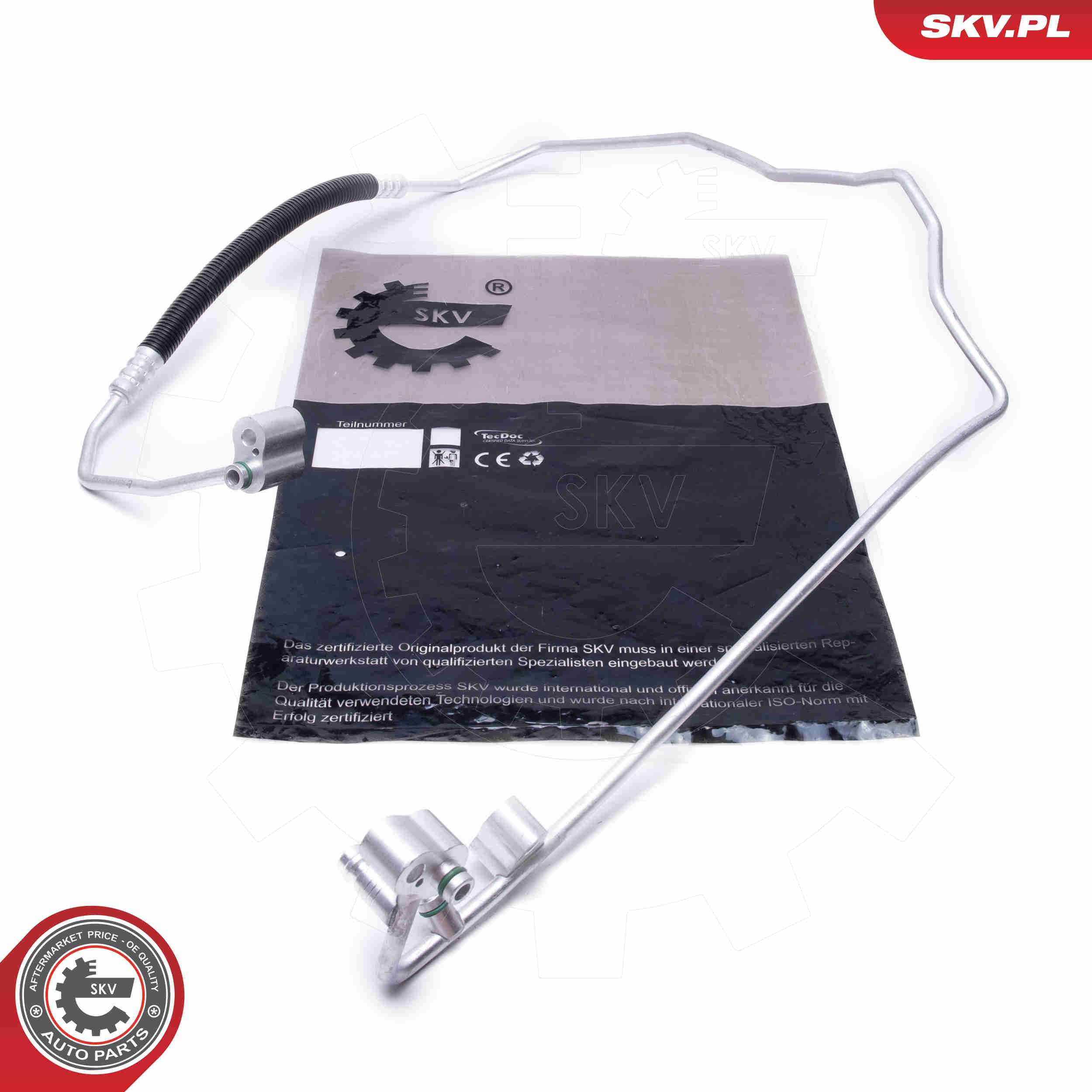  54SKV719 SKV