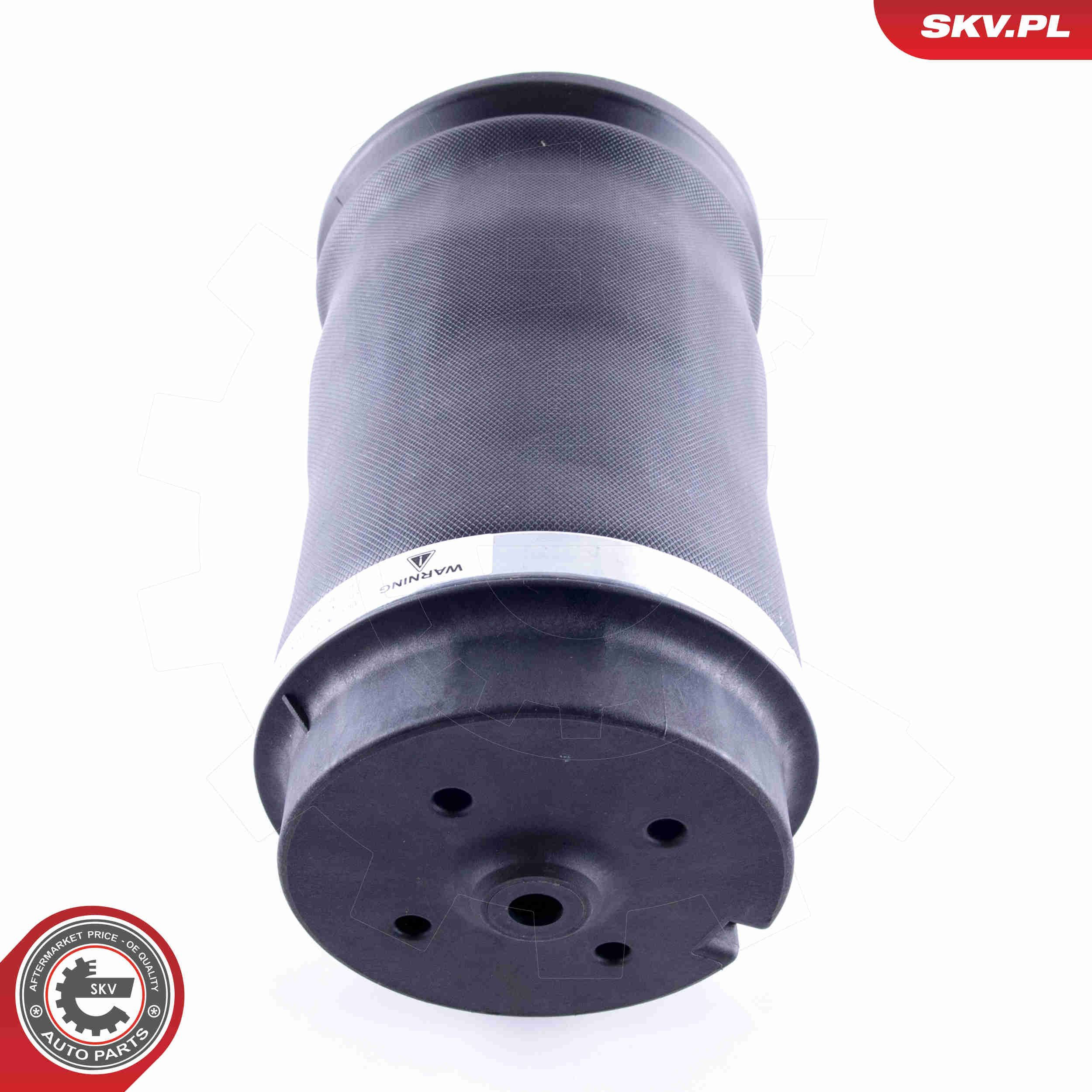 Пневморессора задня SKV 58SKV020 ціна, від 76.86 USD