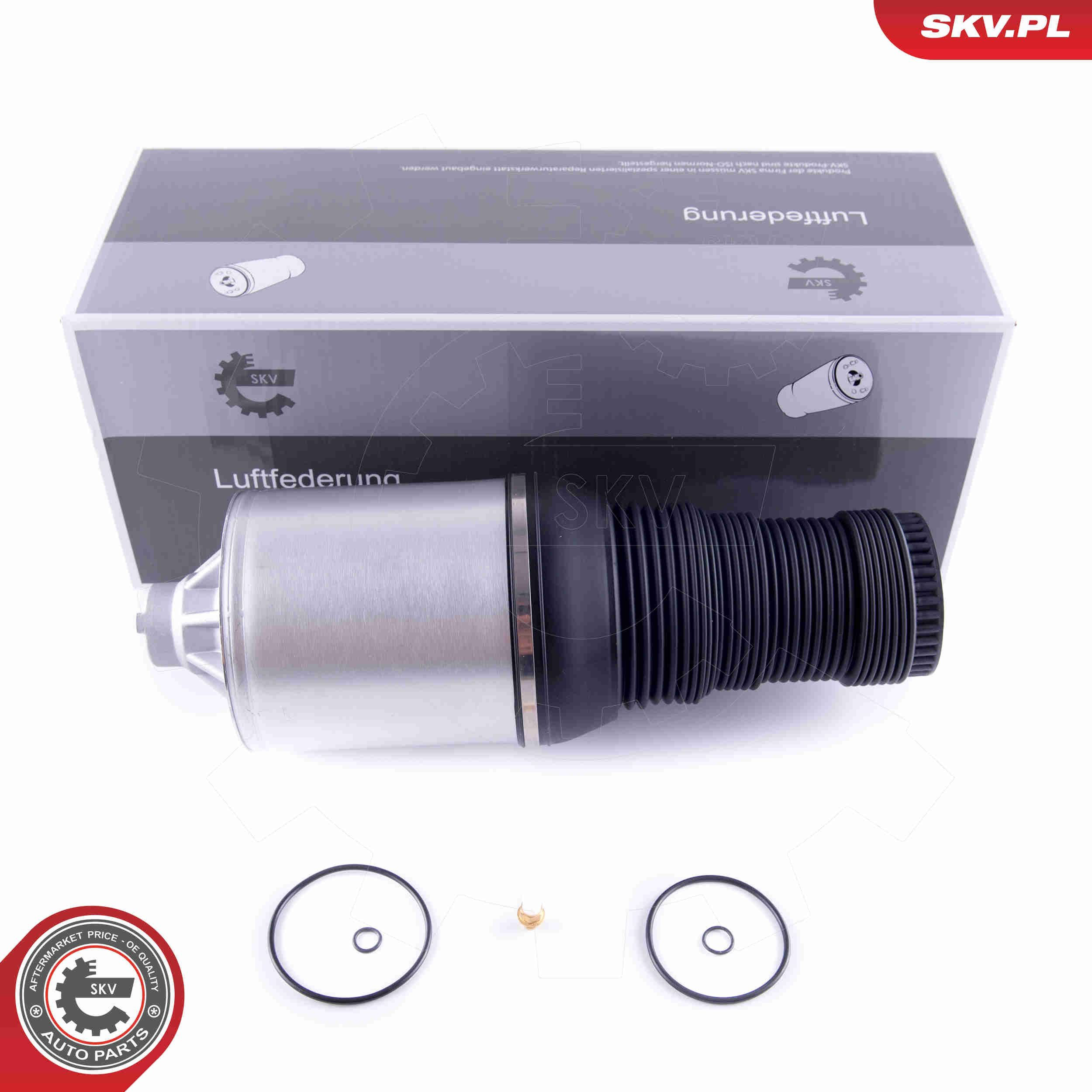 Купити 58SKV051 SKV 