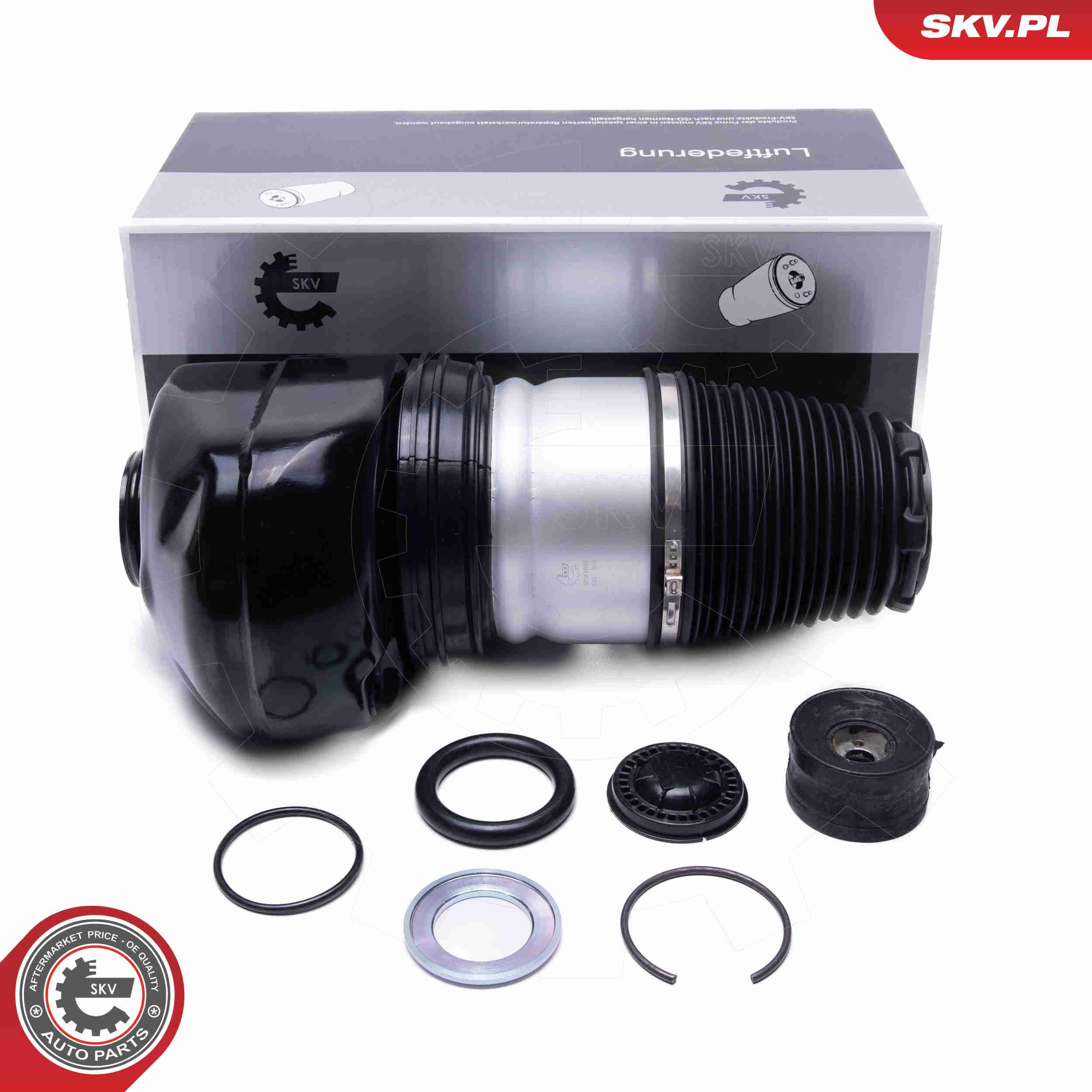 Купити 58SKV093 SKV 