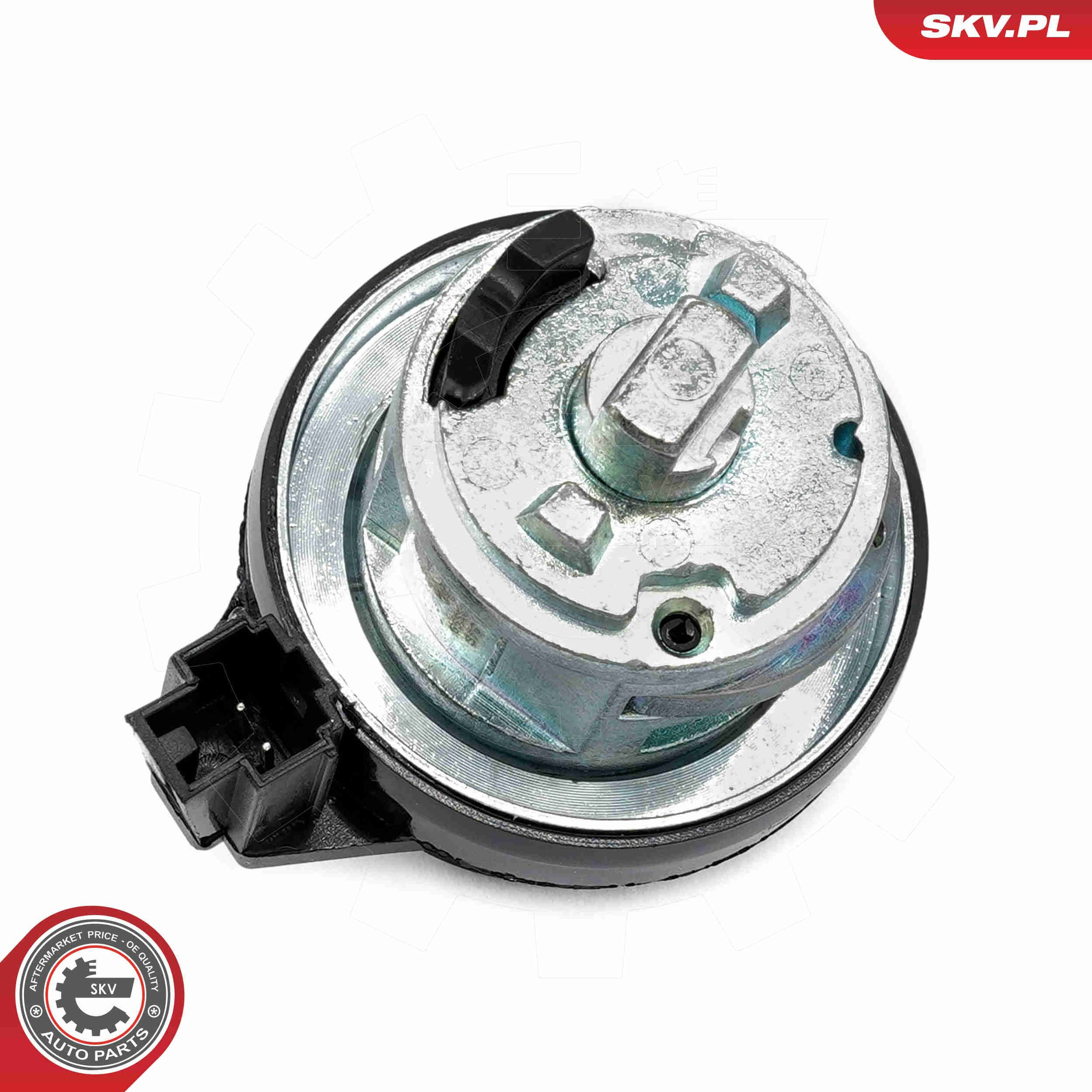 65SKV501 SKV Личинка замка запалювання