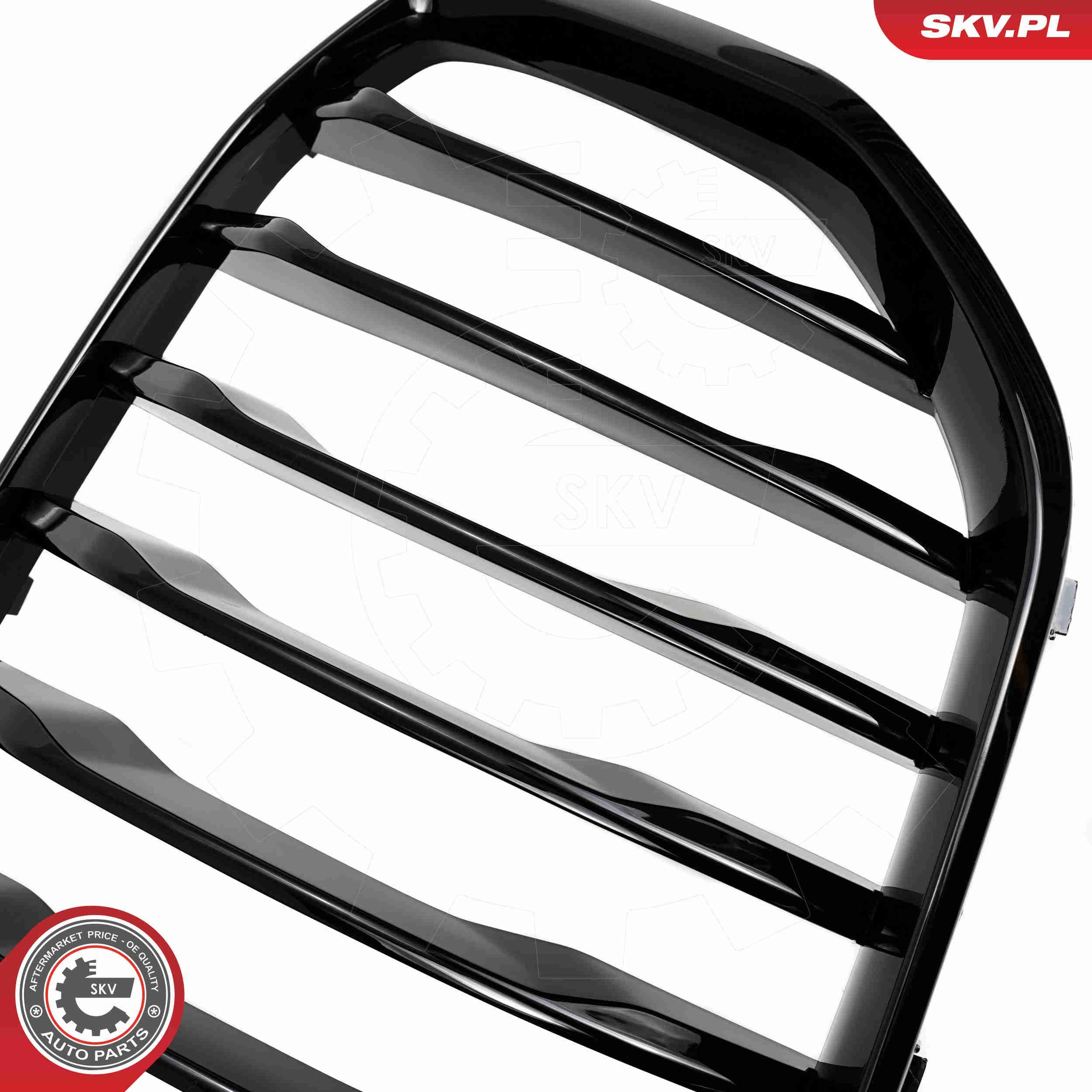 Решітка радіатора 66SKV300 SKV