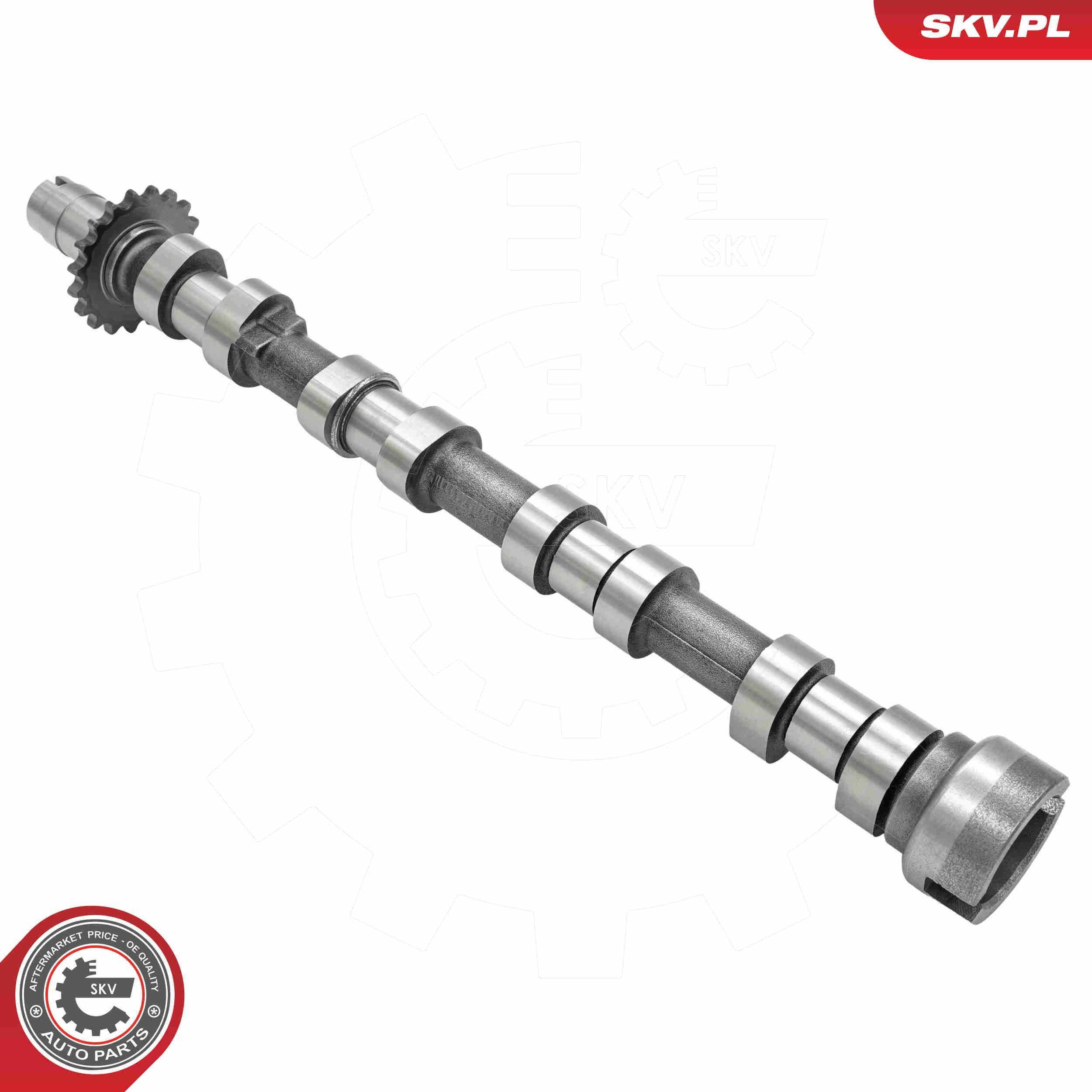 80SKV041 SKV Шток двигуна, випускний