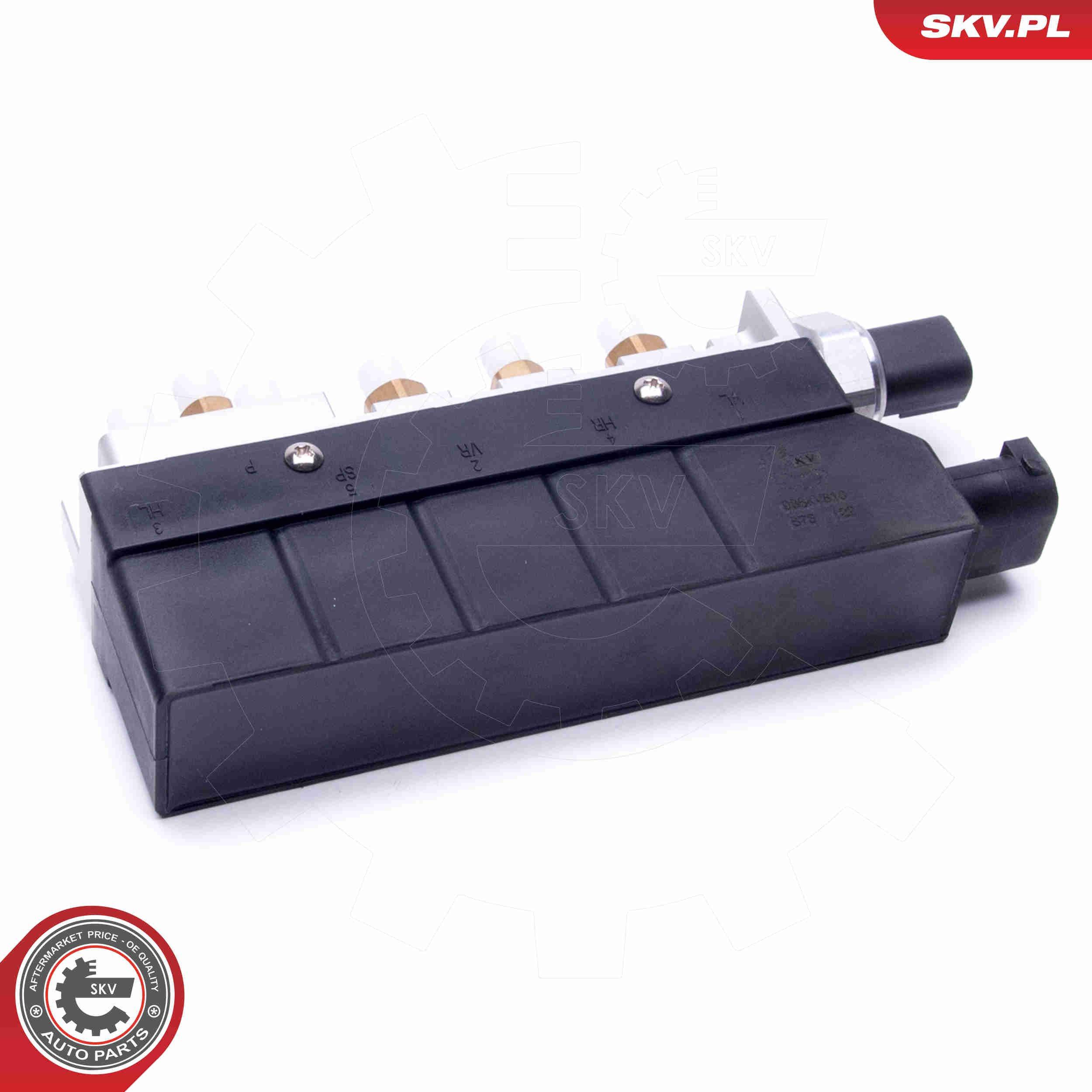  93SKV810 SKV