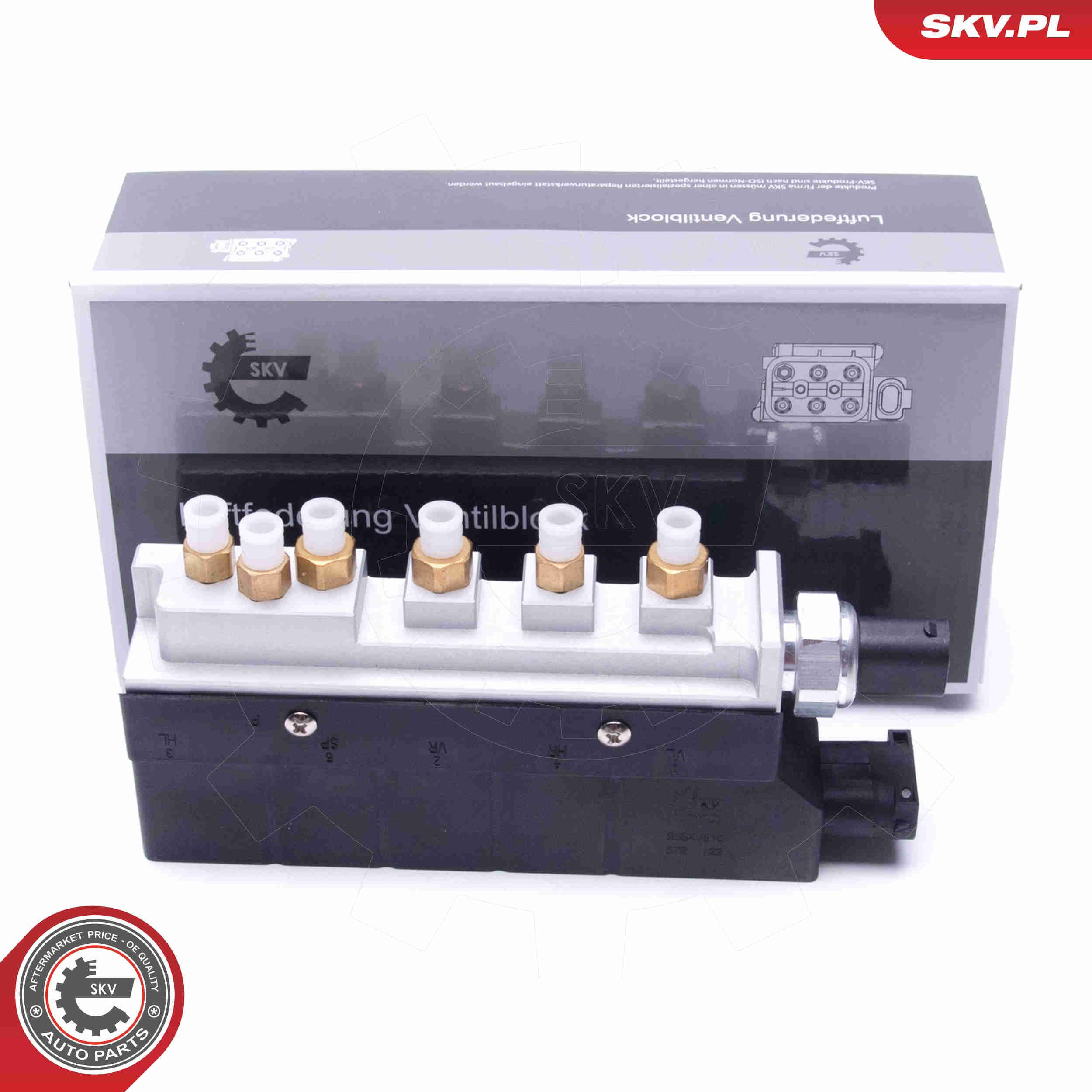  SKV 93SKV810