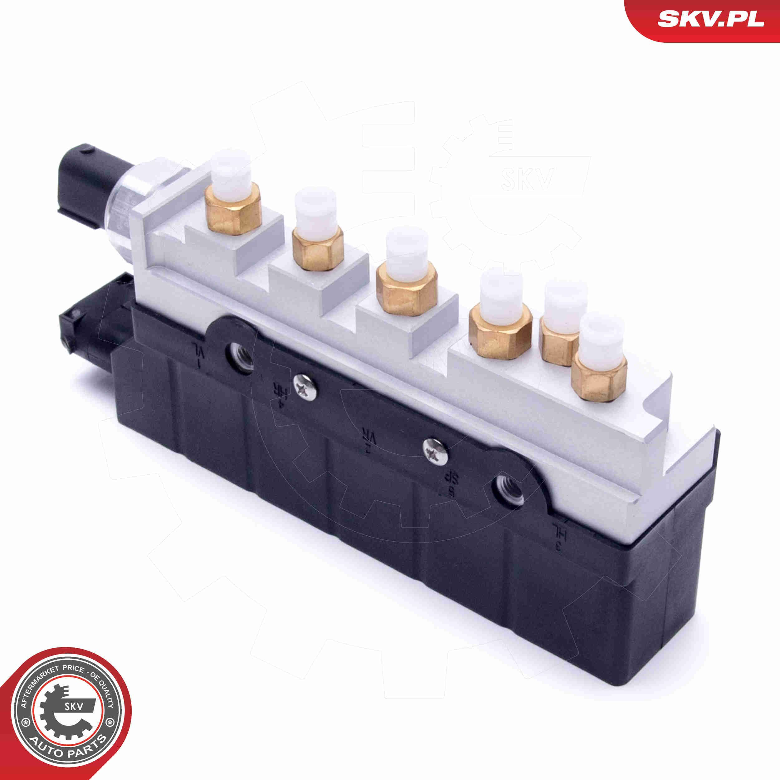 93SKV810 SKV 