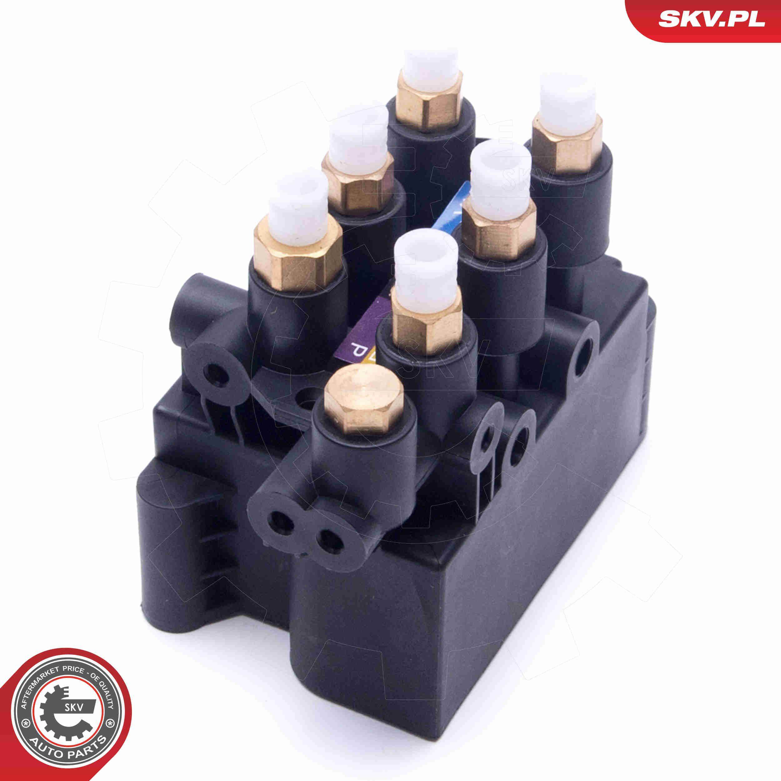  SKV 93SKV811 ціна, від 113.73 USD
