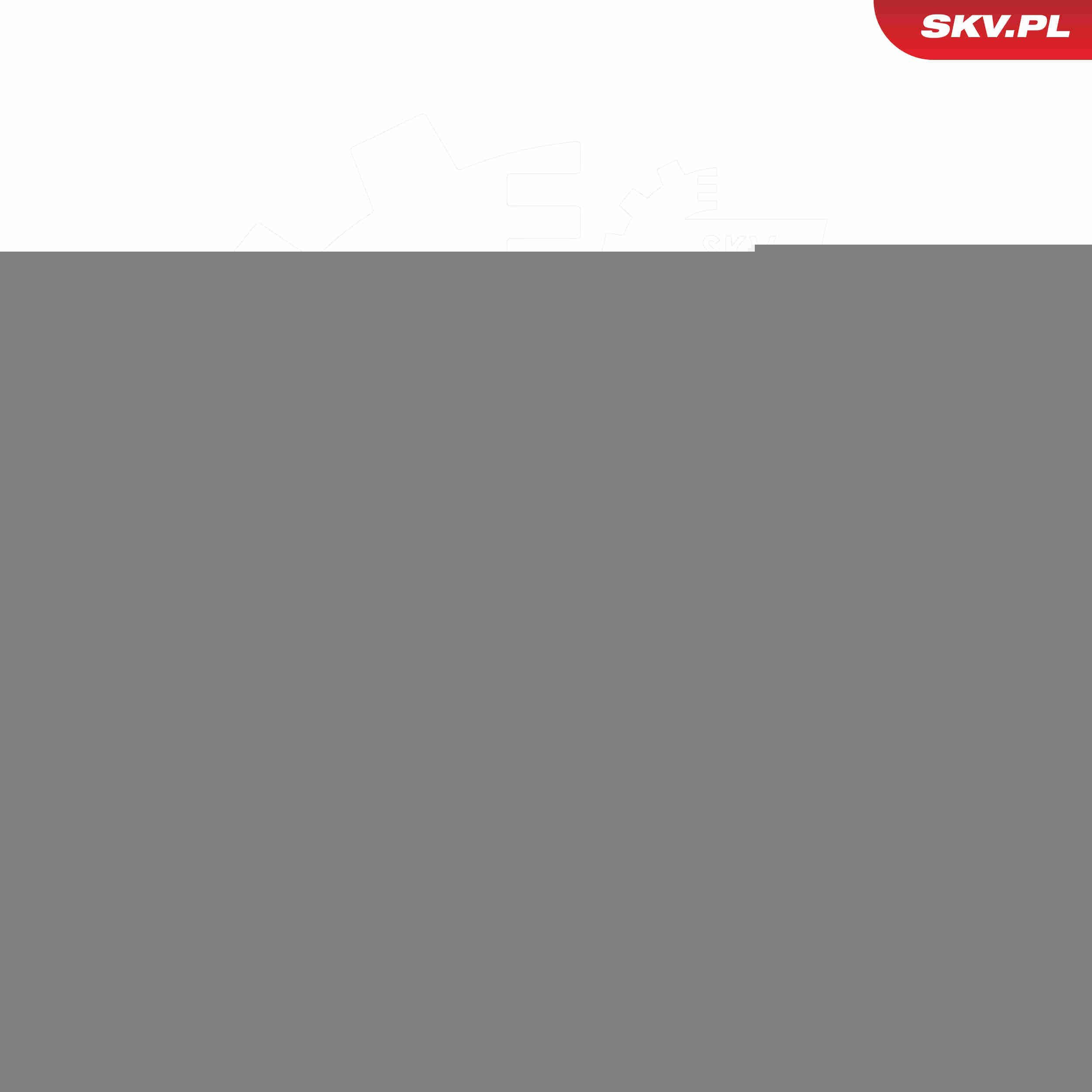 Реле обігрівача SKV 94SKV117