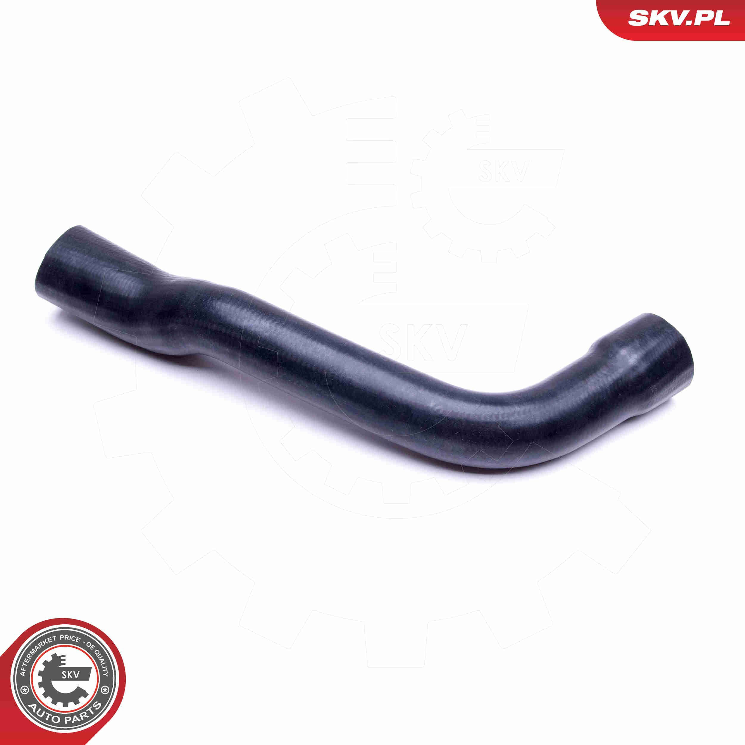  SKV 96SKV081