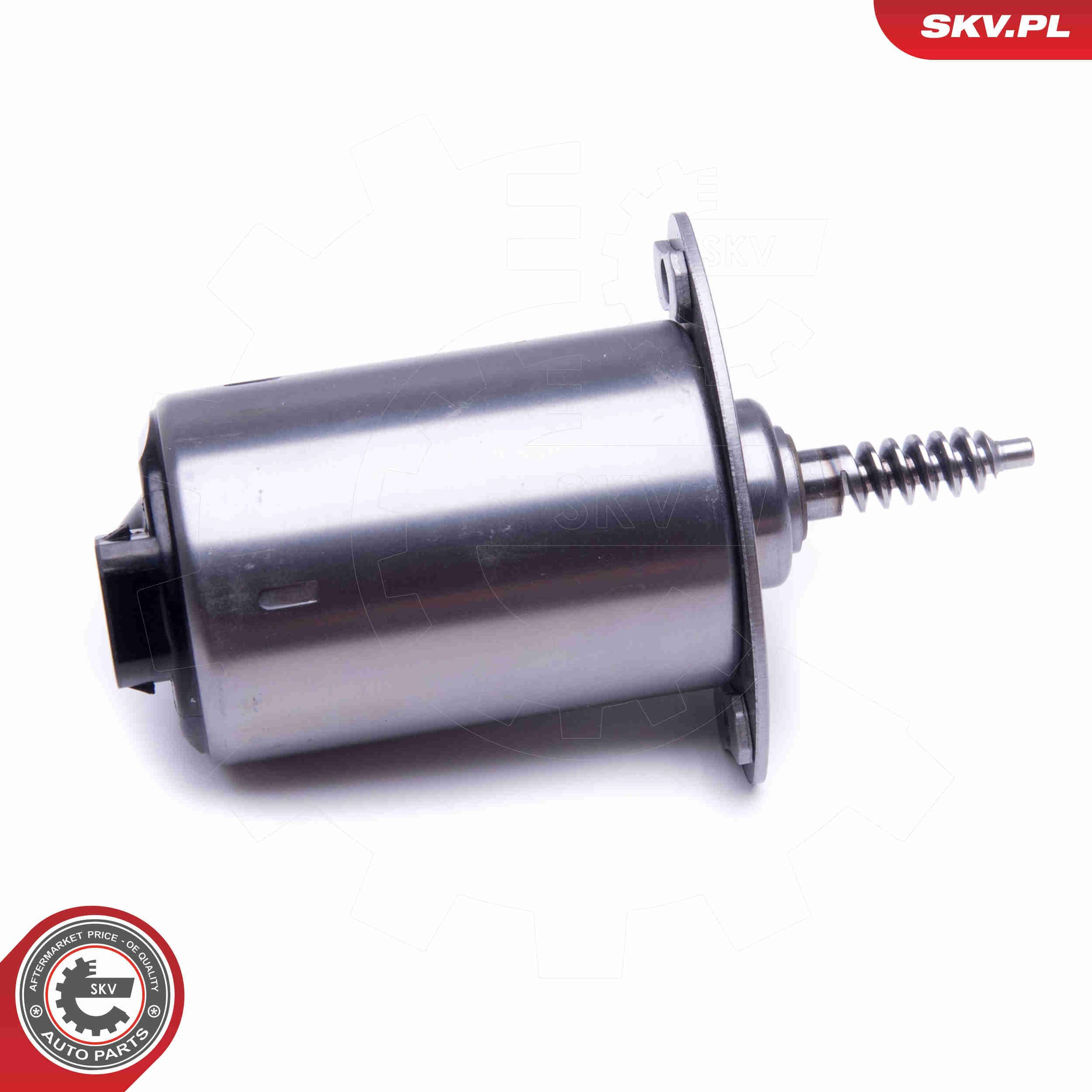 96SKV089 SKV Регулятор фаз газорозподілу
