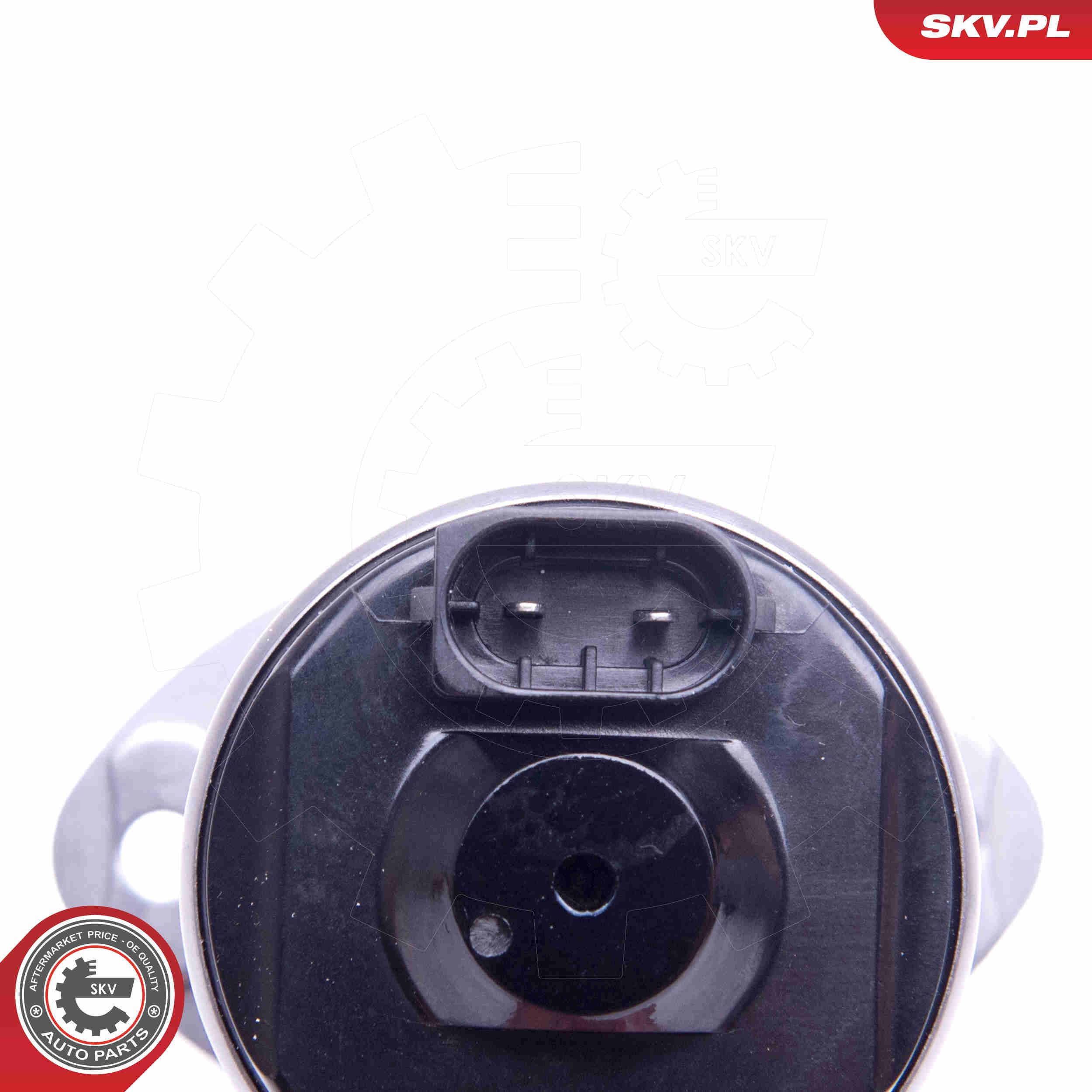 Регулятор фаз газорозподілу SKV 96SKV089
