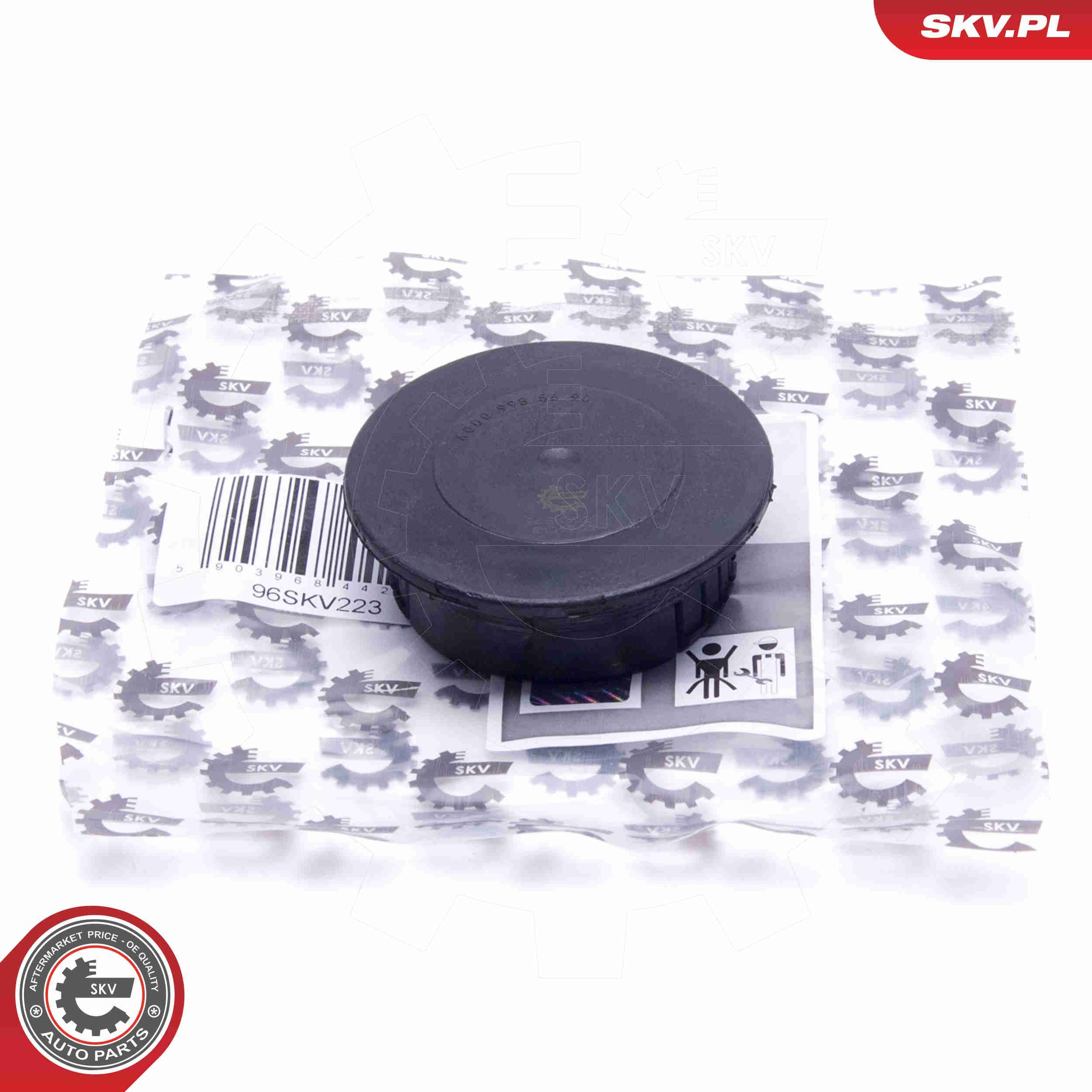 Заглушка отвору ГБЦ вакуумного насоса SKV 96SKV223 ціна, від 9.89 USD