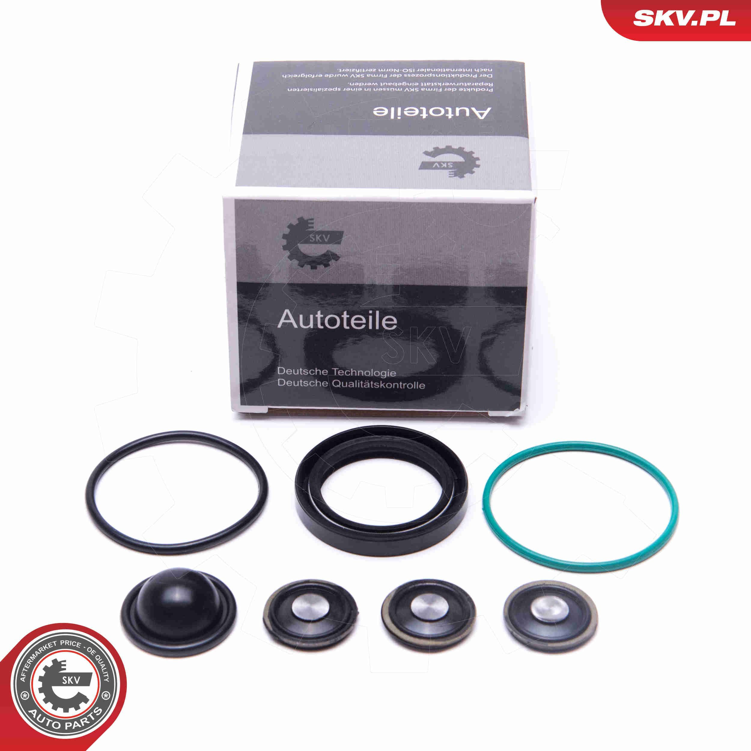  SKV 96SKV933 ціна, від 18.57 USD