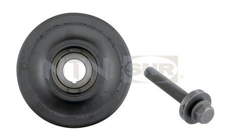 DPF35301K1 SNR Демпфер колінвалу