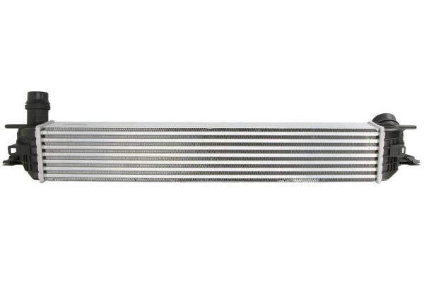 Купити Бачок системи охолодження Renault Laguna III BT0, BT1