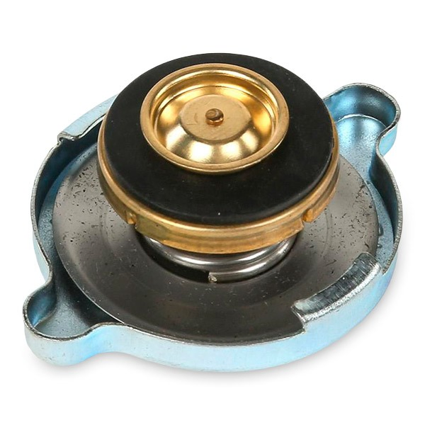 Купити Кришка радіатора Ford Escort IV GAF, AWF, ABFT